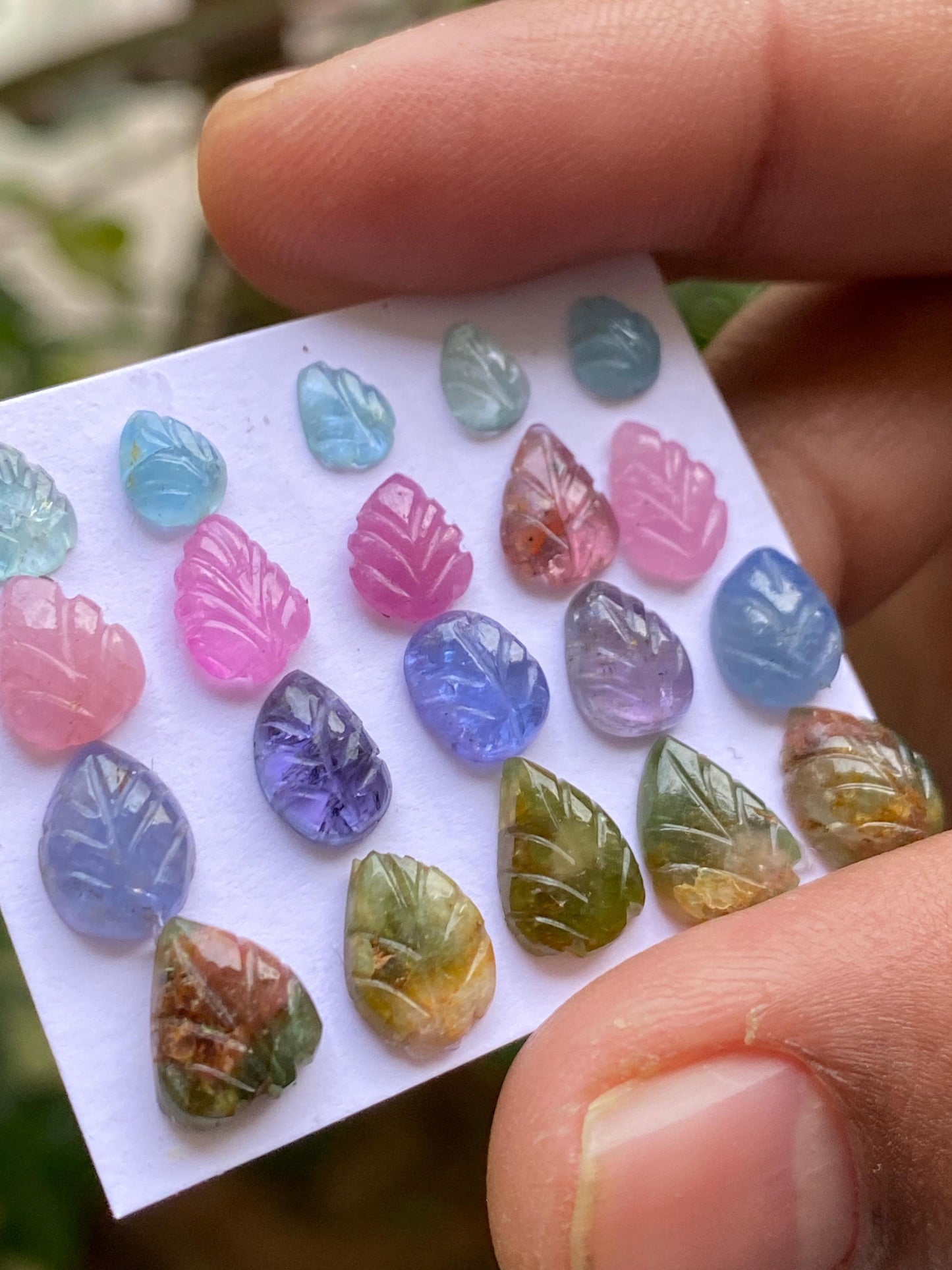 Attractive Watermelon tourmaline aquamarine pink sapphire tanzanite leaves carvings wt 25 carats pcs 20 size 6x5mm-9x8mm leaf carving