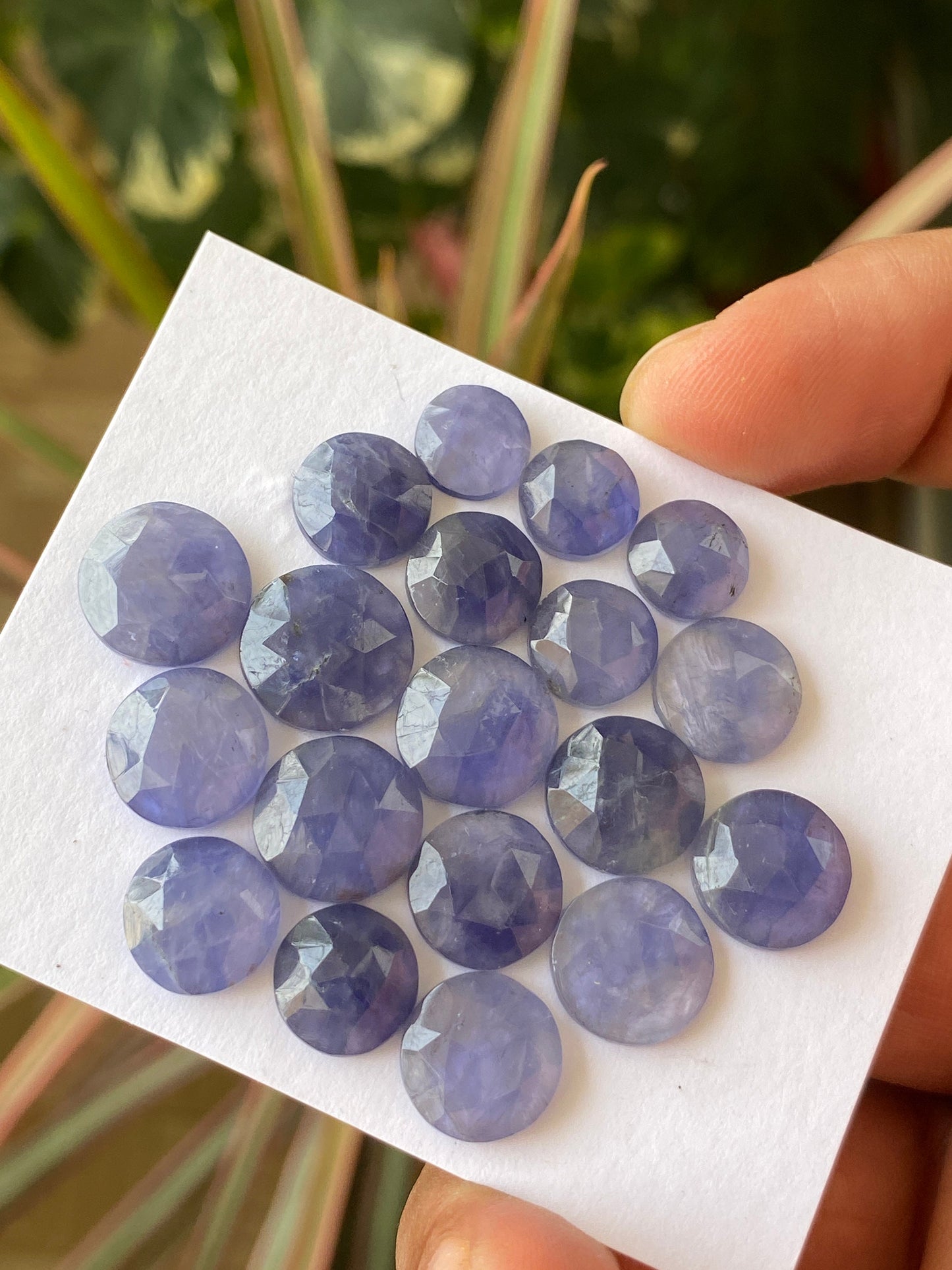 Fabulous Rare iolite rosecut wholesale lot weight 56 carats size 8.5mm-12.1mm  pcs 19  iolite rosecut iolite jewelry