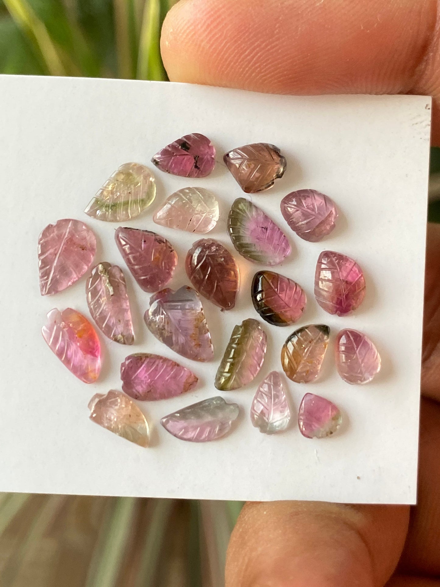 Fabulous Bicolor Watermelon tourmaline leaves carving  multi tourmaline carvings wt 15 carats pcs 22 size 5x4mm-9x6mm tourmaline leaves