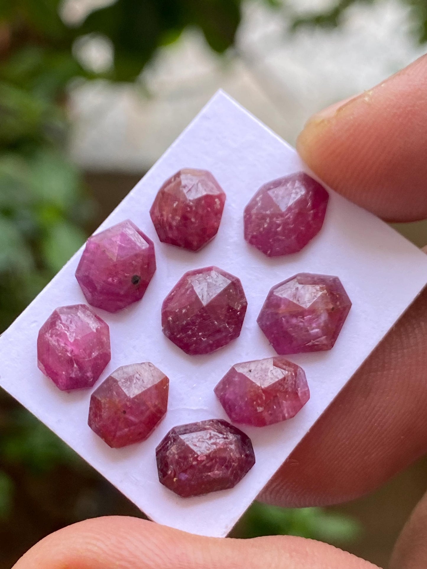 Fascinating rare natural unheated untreated ruby mozambique flat cut geometric pcs 9 wt 17.29 cts  size 8.2x7mm-9x6mm ruby mozambique mines