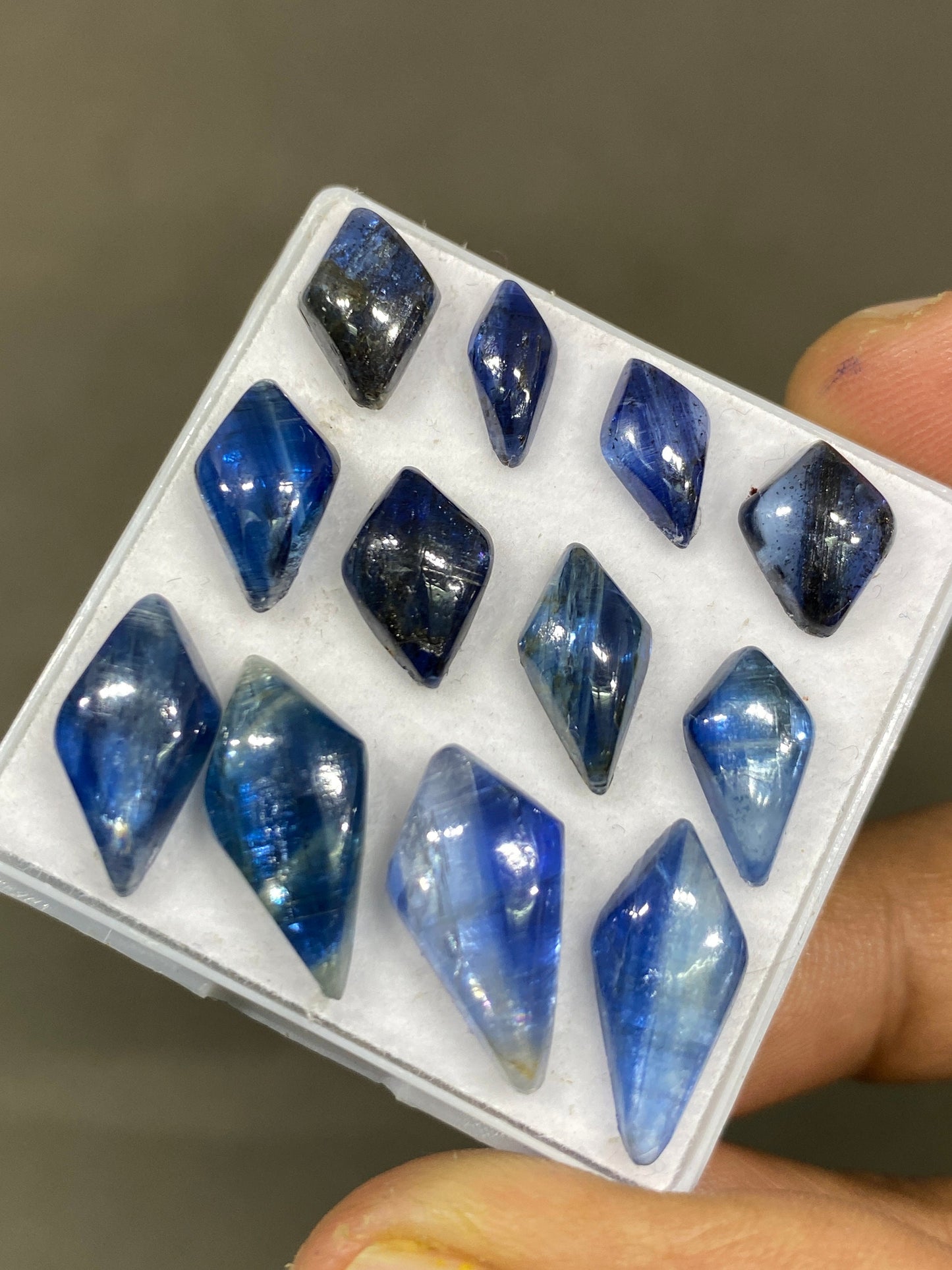 Stunning rare blue kyanite geometric kite fine quality wt 36 cts size 10x5.6mm-17.5x8.6mm pcs 12 blue kyanite kite cabochons smooth polished