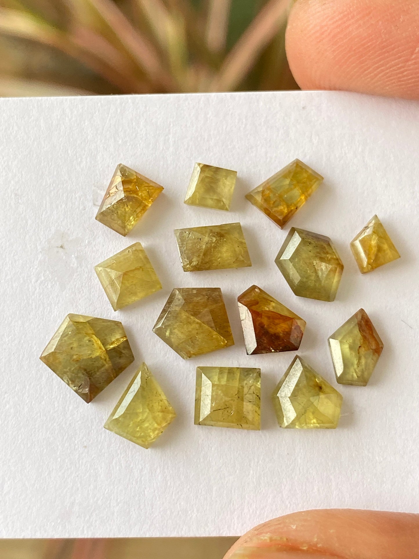 Dazzling very rare Tanzania mines small yellow sapphire Bicolor geometric wt 15 carats pcs 14 size 5x4mm-8x7mm sapphire stepcut