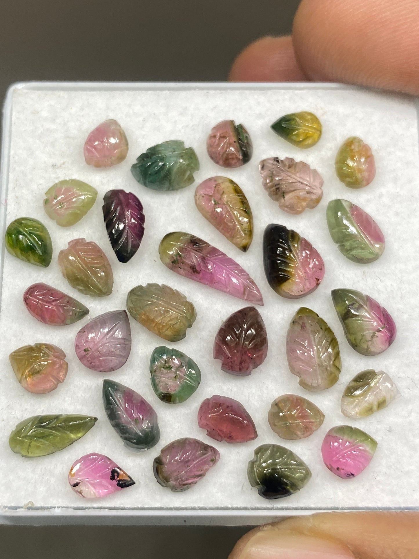 Stunning Watermelon tourmaline leaves carving Bicolor bio multi tourmaline carvings wt 22 carats pcs 31 size 5x4mm-13x4mm tourmaline leaves