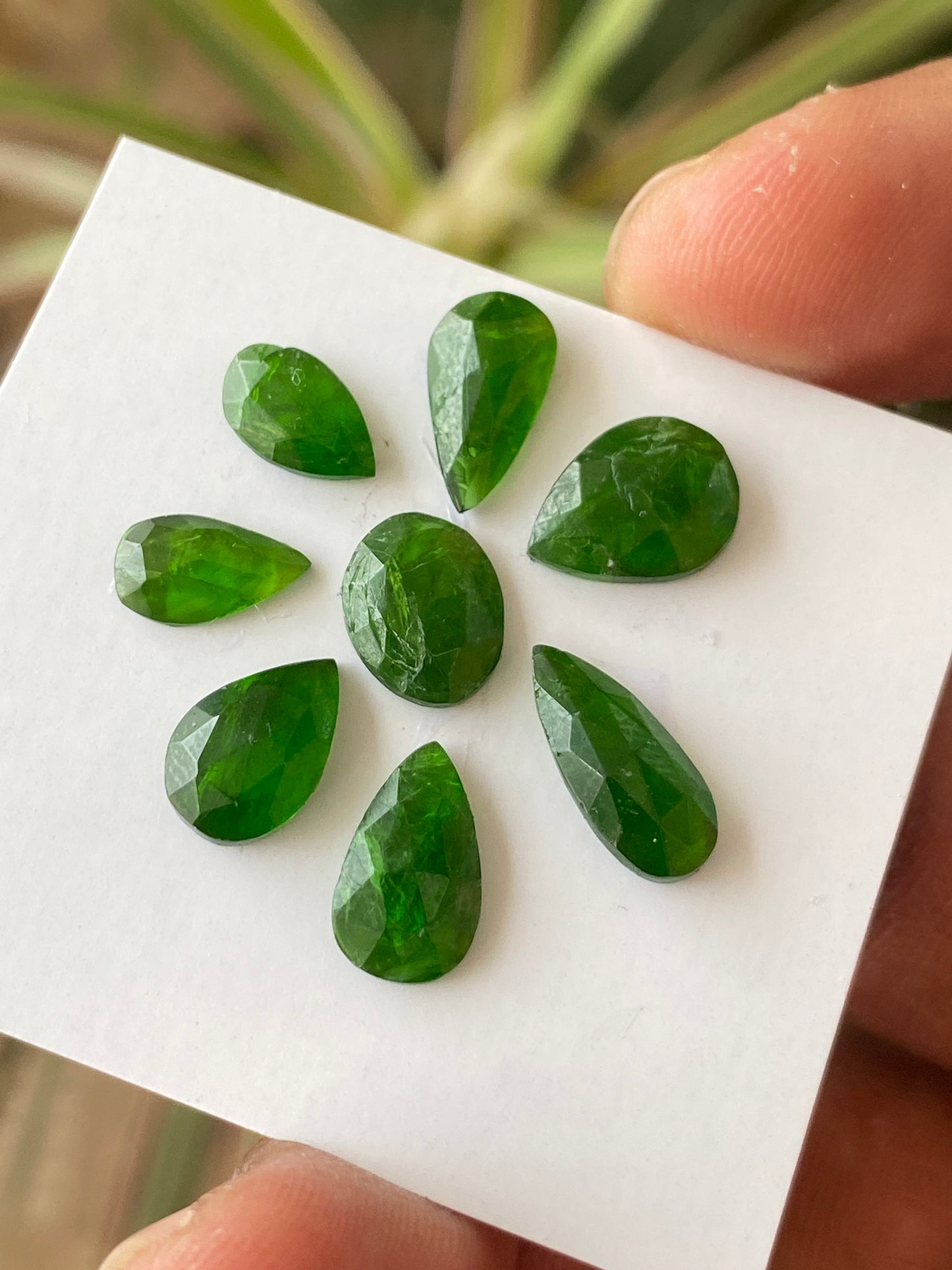 Marvellous Rare chrome diopside rosecut pear  vivid green color weight 16 carats size 6x5mm-13x6mm pcs 8 Chrome diopside rosecut