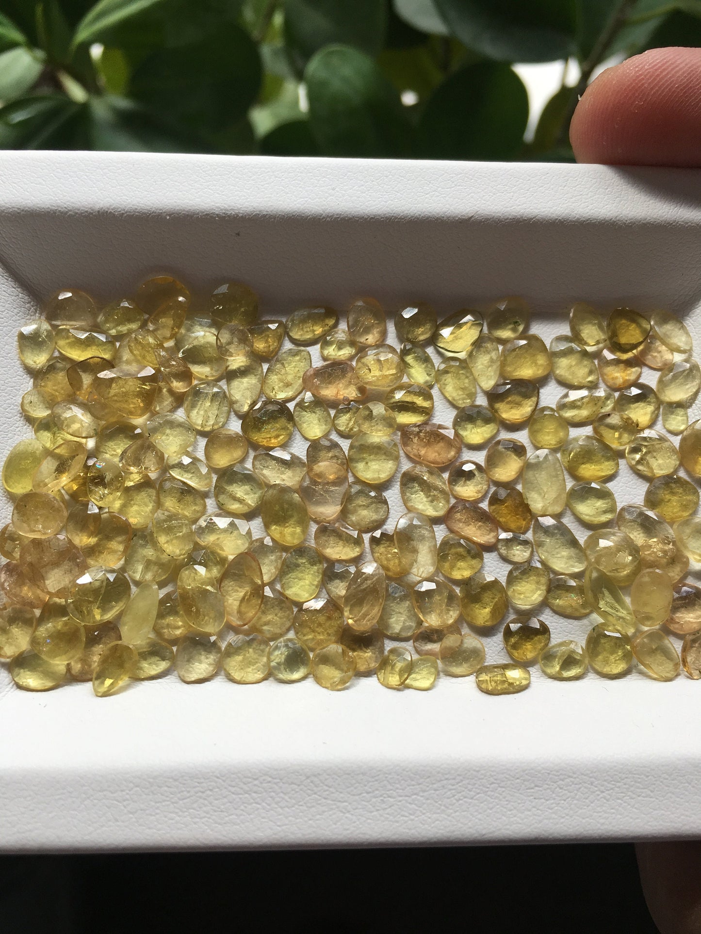 Awesome yellow tourmaline lot (unheated and untreated) size 4x3mm to 6.7x6mm 44.10 carats 152 Pcs