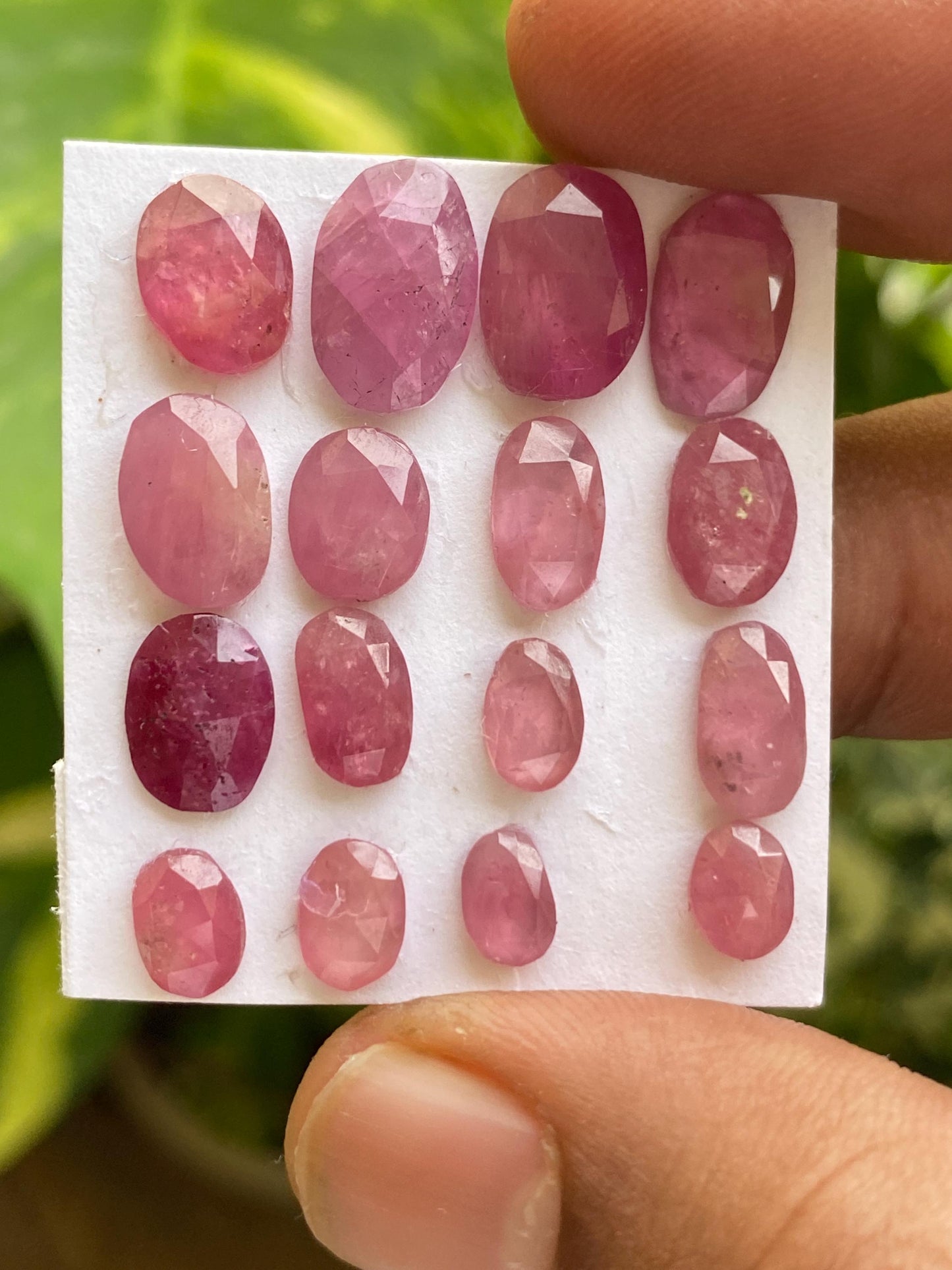 Amazing Rare natural mozambique ruby rosecut lot  mix shapes pcs 16 wt 25.70 cts size 7x4.5mm-12.5x8mm  unheated untreated ruby rosecut