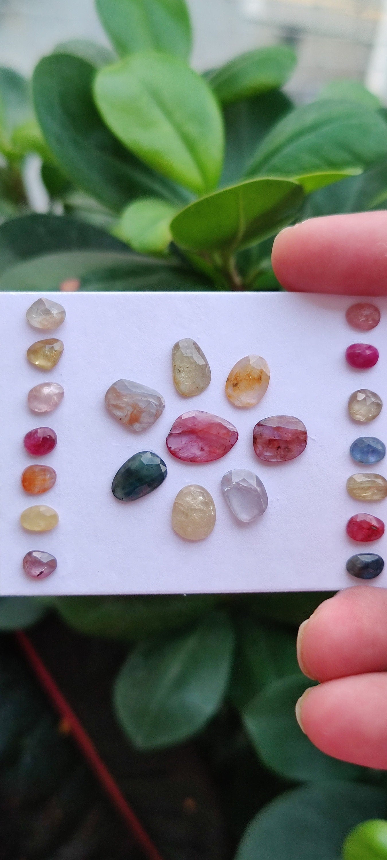 Vibrant rare unheated multi sapphire rosecut lot weight 28 pcs 22 Size 6.3x4.6mm-12.8x9.6mm amazing colors natural sapphires