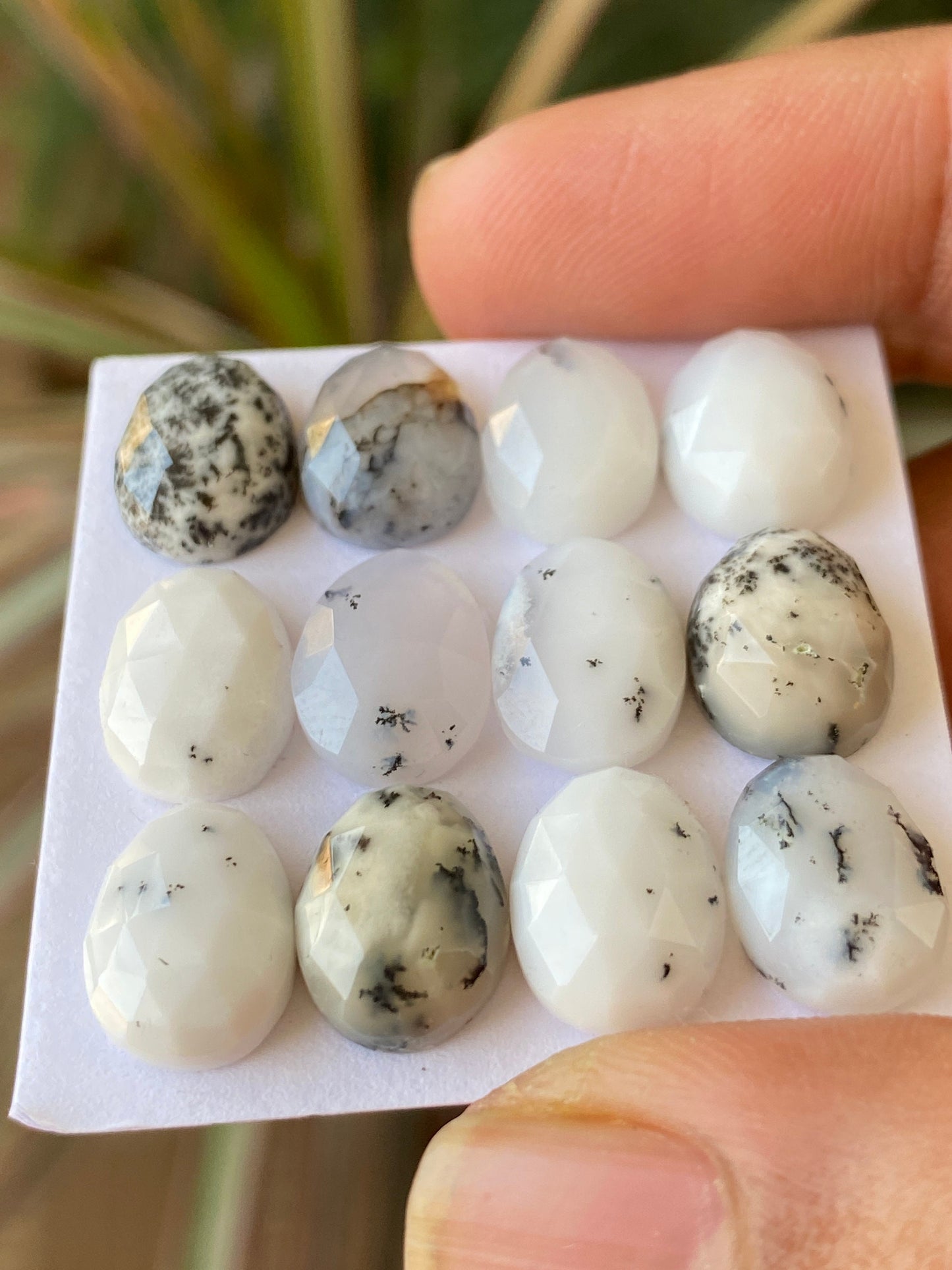 Amazing rare fancy dendrite agate egg shape rosecut flats wt 44 carats size 11x8mm-12x9mm pcs 12 rosecut gems