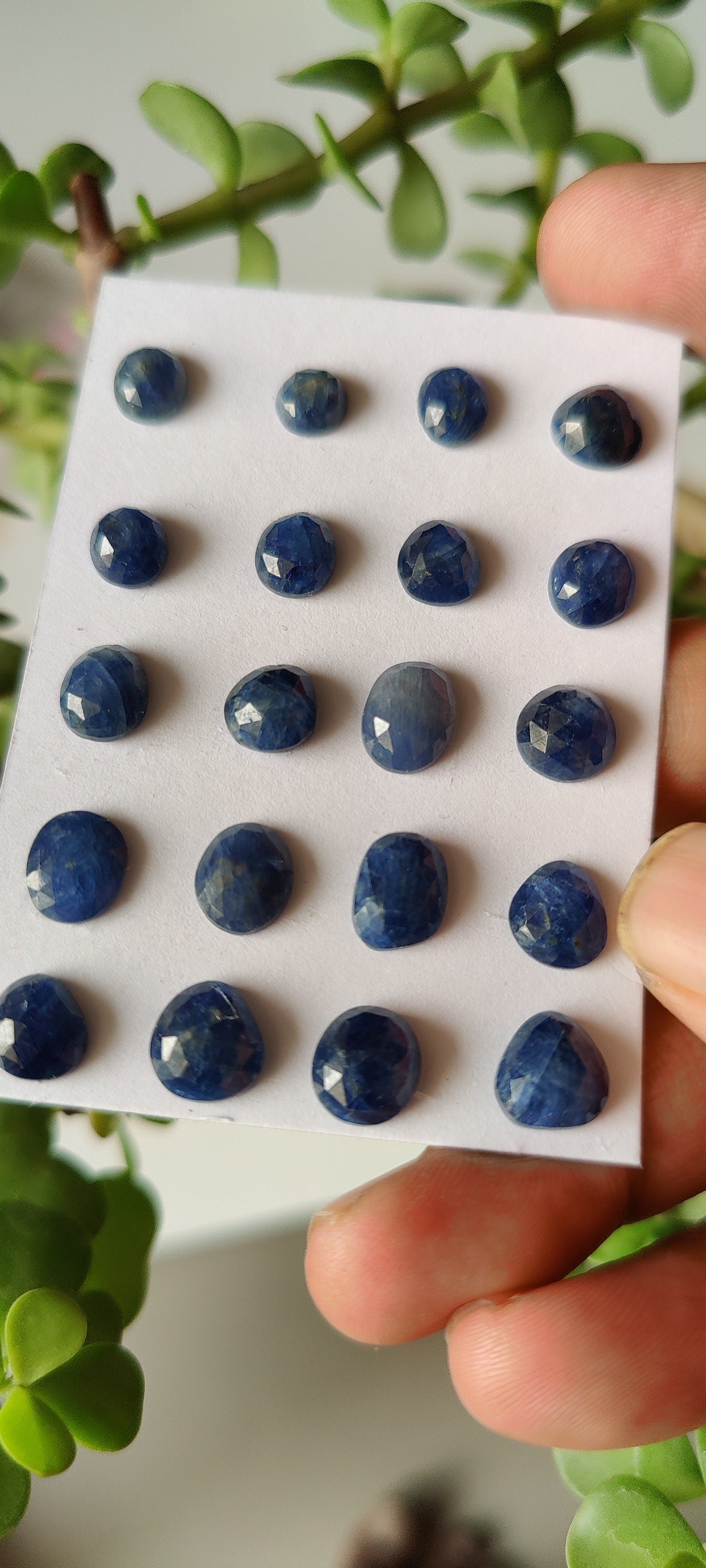 Wow Natural unheated untreated blue sapphire rosecut pcs 20 wt 53 carats size  6.8mm-9.6x7.2mm unheated blue sapphire rosecut gems