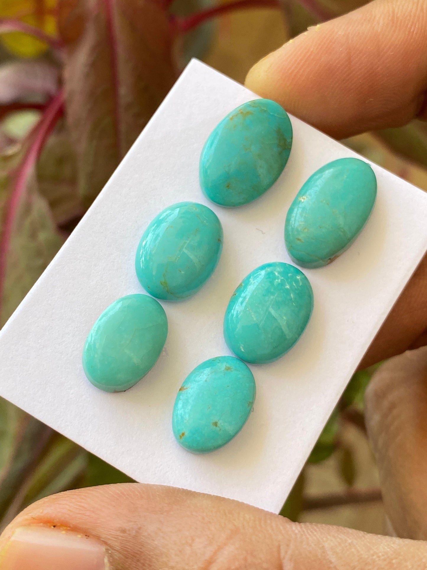 Nice rare Turquoise cabochons earrings natural Arizona mines smooth polished ovals pcs 6 wt 30 carats 13x9-15x10.5mm turquoise cabochon