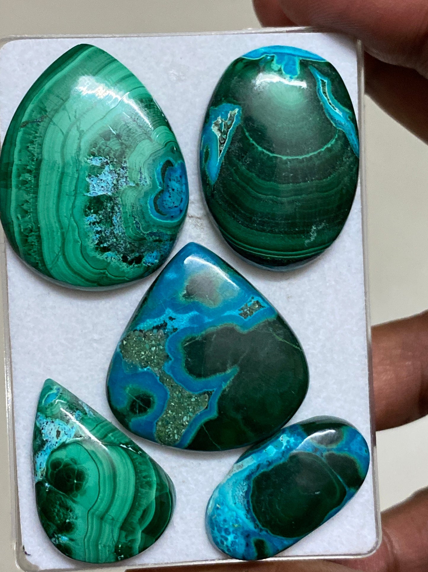 Amazing rare huge malachite chrysocolla cabochons wholesale lot weight 239 carats pcs 5 size flatback gems