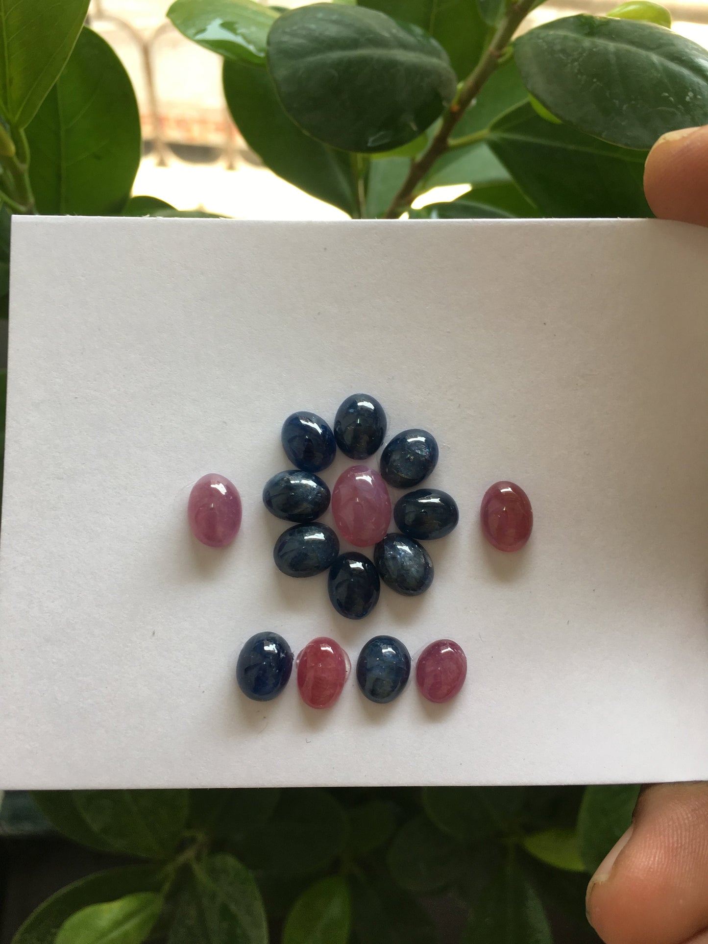 Extremely Rare natural pink sapphire blue sapphire unheated untreated sapphire cabochons weight 47.60 carats size 8.5x6mm -10x8mm pieces 15