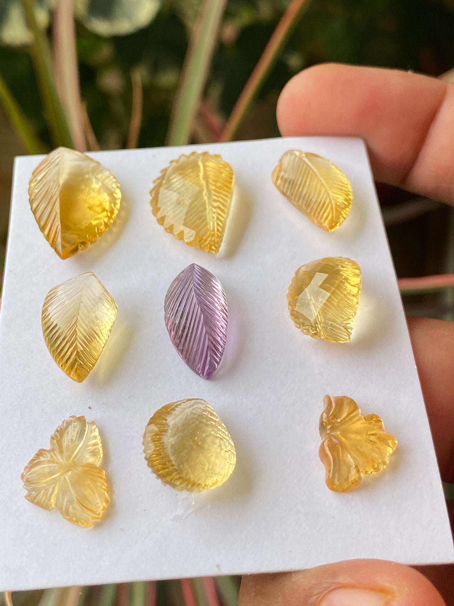 Vivacious Natural citrine amethyst hand carved wholesale lot wt 65.5 cts pcs 9 size 14x10mm-23.5x14mm citrine carving gemstone carving