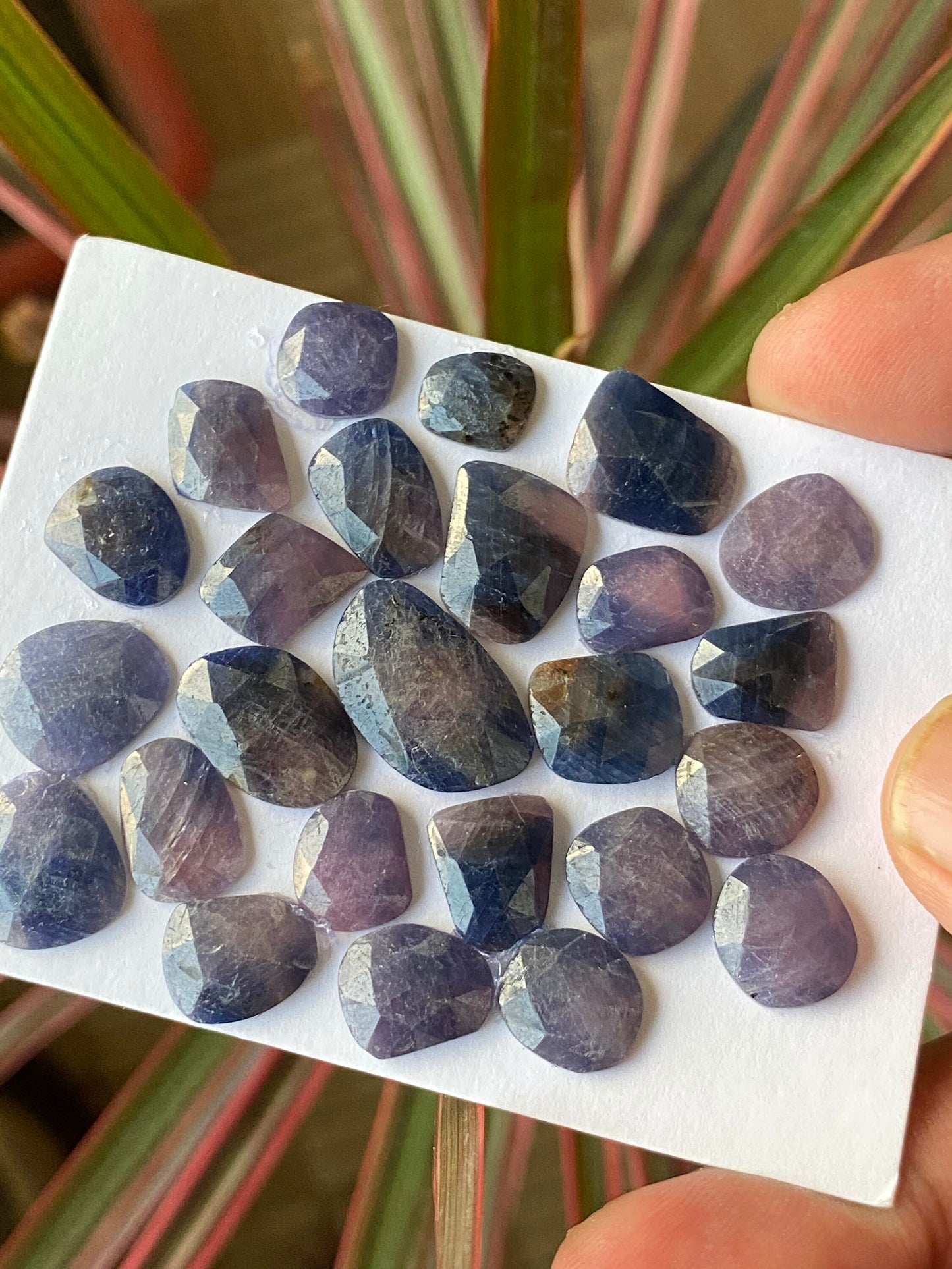 Fascinating Natural unheated untreated blue purple sapphire rosecut wt 83.50 cts pcs 25 8.7x7.7mm-18.5x11.3mm unheated blue sapphire rosecut