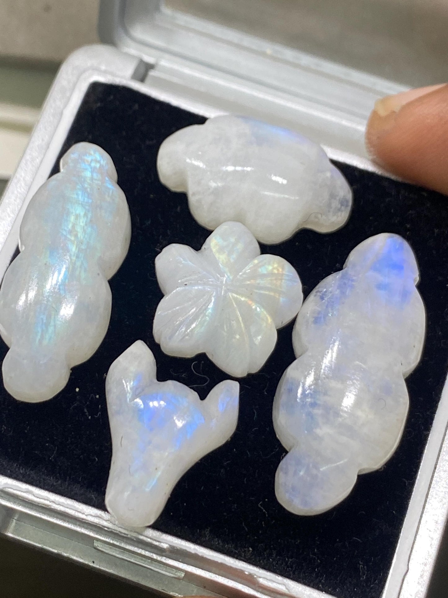 Gorgeous rare white moonstone cloud carving  bill head flower blue fire moonstone pcs 5 wt 81 cts size 15mm-30x13mm moonstone carving