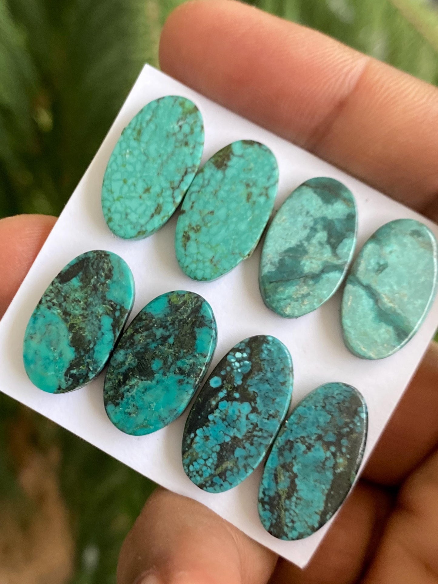 Rare Turquoise pairs natural hubei mines smooth polished cloud mountain pcs 8 wt 56 carats big 20x12-21x11mm turquoise earrings supply