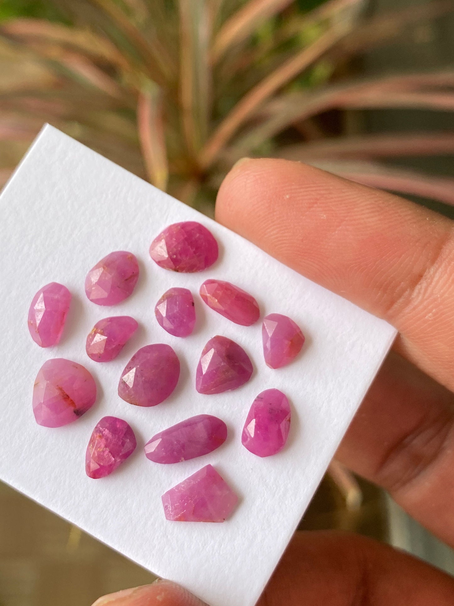 Very Rare natural unheated untreated ruby rosecut flats amazing color mixed shapes wt 16 cts  pcs 14 size ruby cut