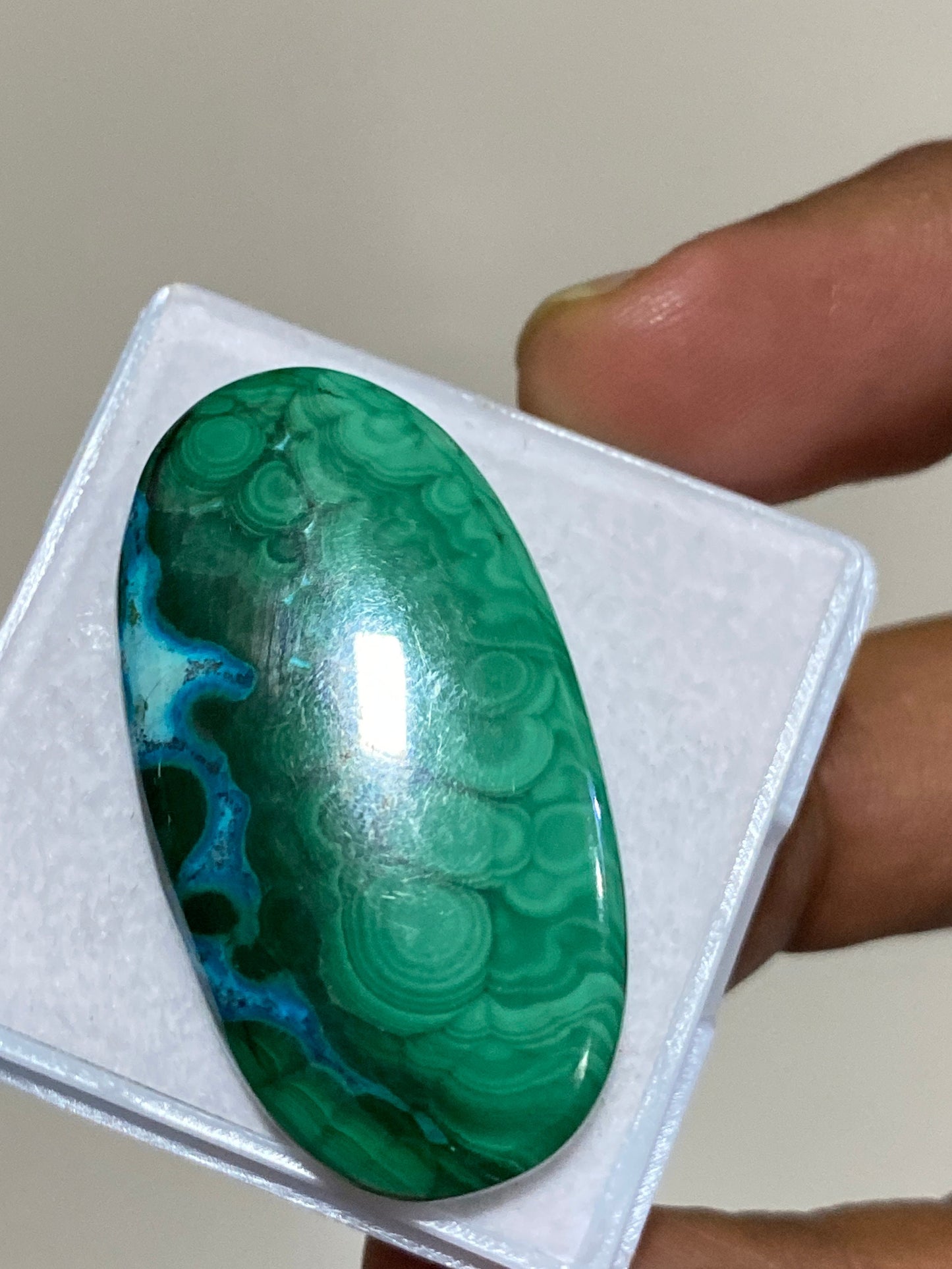 Fascinating rare huge malachite chrysocolla oval cabochon wholesale lot weight 79 carats pcs 1 size 41X22MM flatback gems