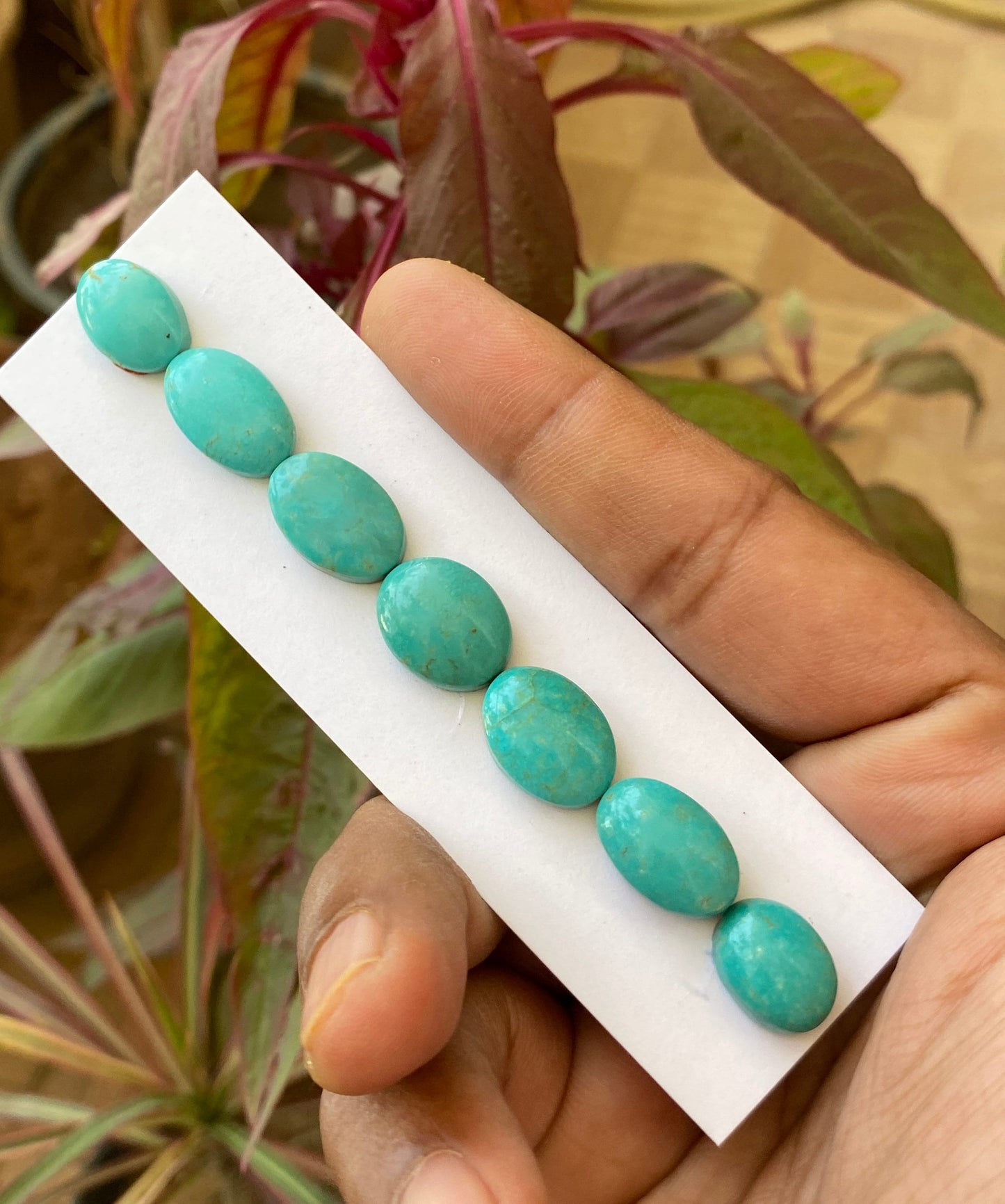 Attractive rare Turquoise cabochons bracelet natural Arizona mines smooth  ovals pcs 7 wt 53 carats 13x10-16.5x11mm turquoise cabochon