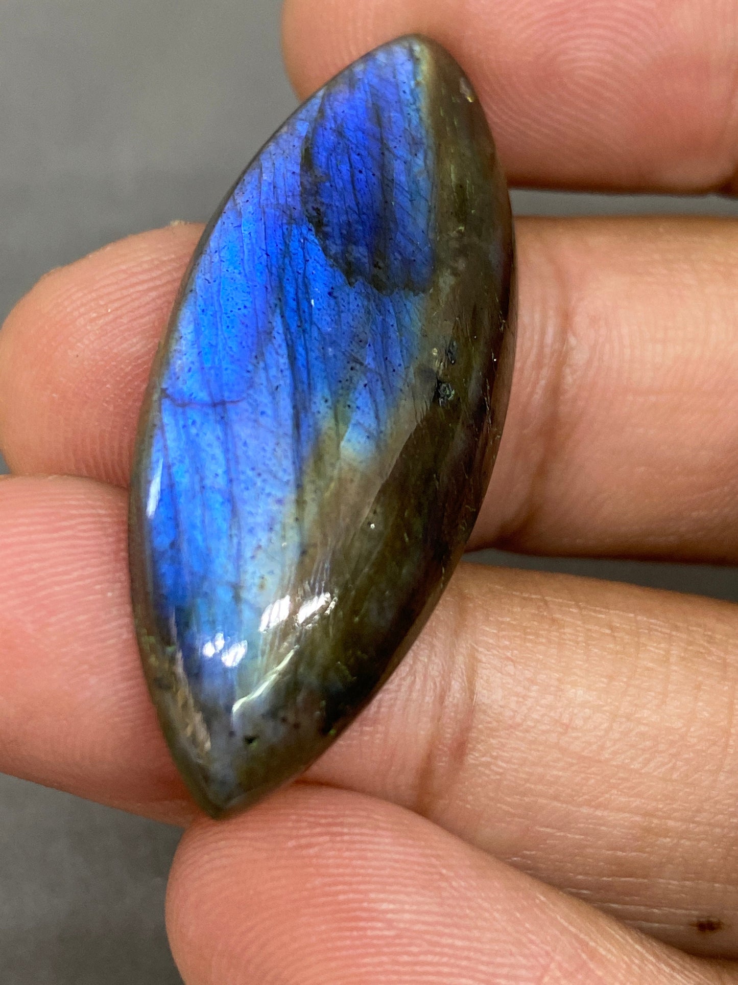 Amazing blue fire labradorite marquees shape cabochon carats single piece 7 grams size 43x17mm rare fine polished labradorite big size