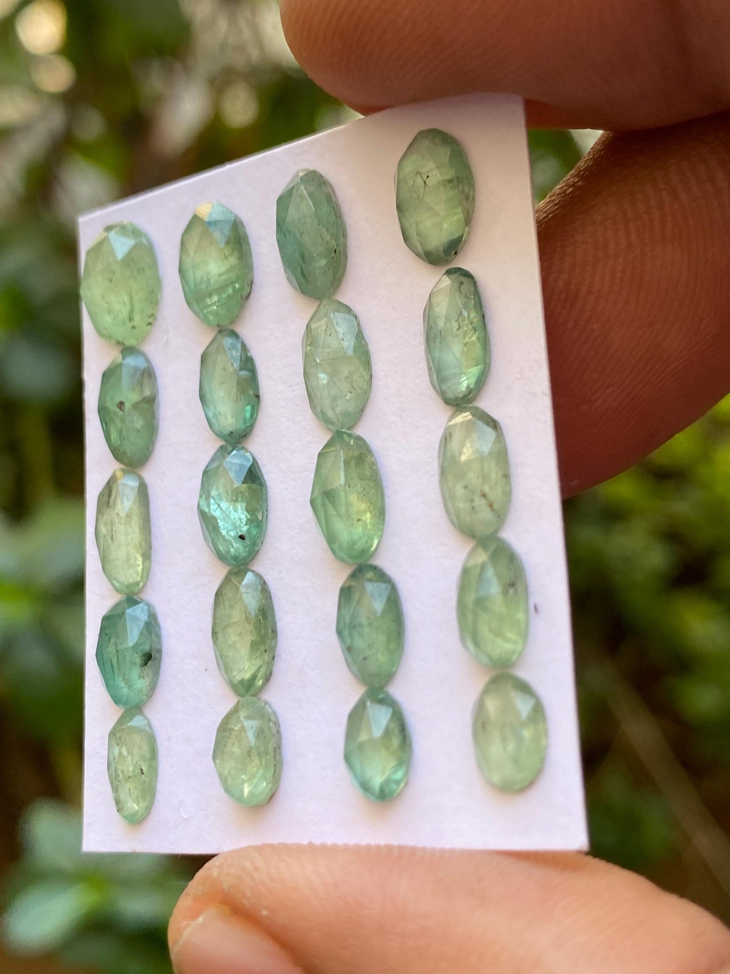 Gorgeous Mint green kyanite ovalish rosecut flats fine quality weight 16.15 carats size 6.1x4.5mm-8.8x6.3mm pcs 20 mint green rosecut