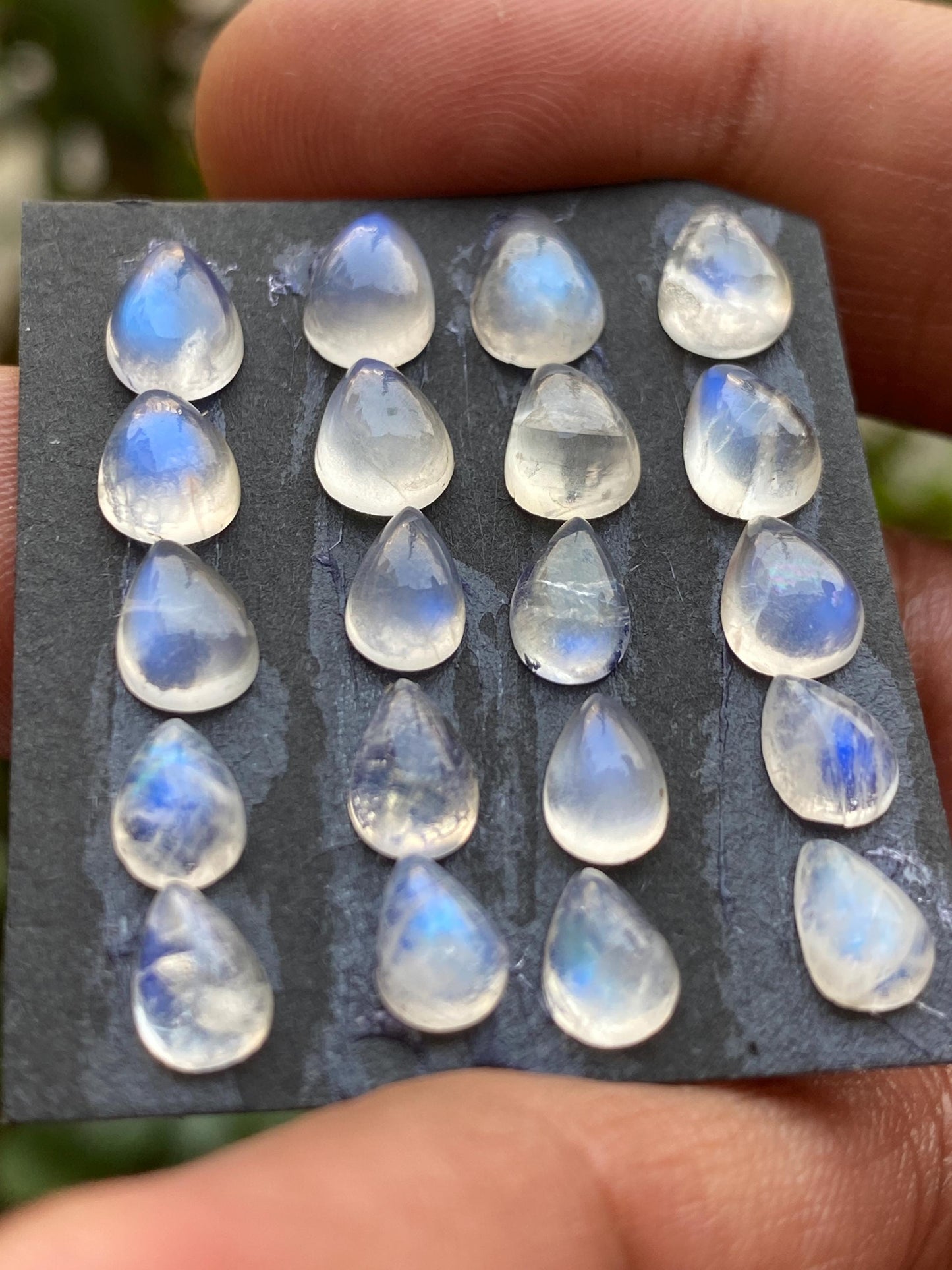 White rainbow moonstone cabochons pear wholesale lot pcs 20 weight 18.60 carats size 7x5mm-9x6mm pear cabochons