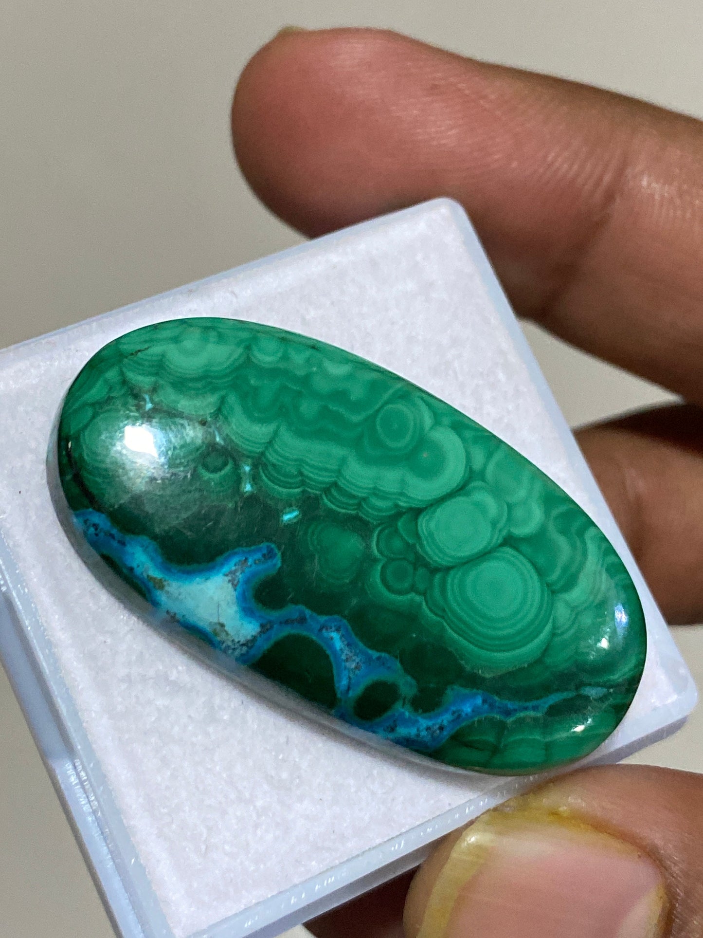 Fascinating rare huge malachite chrysocolla oval cabochon wholesale lot weight 79 carats pcs 1 size 41X22MM flatback gems