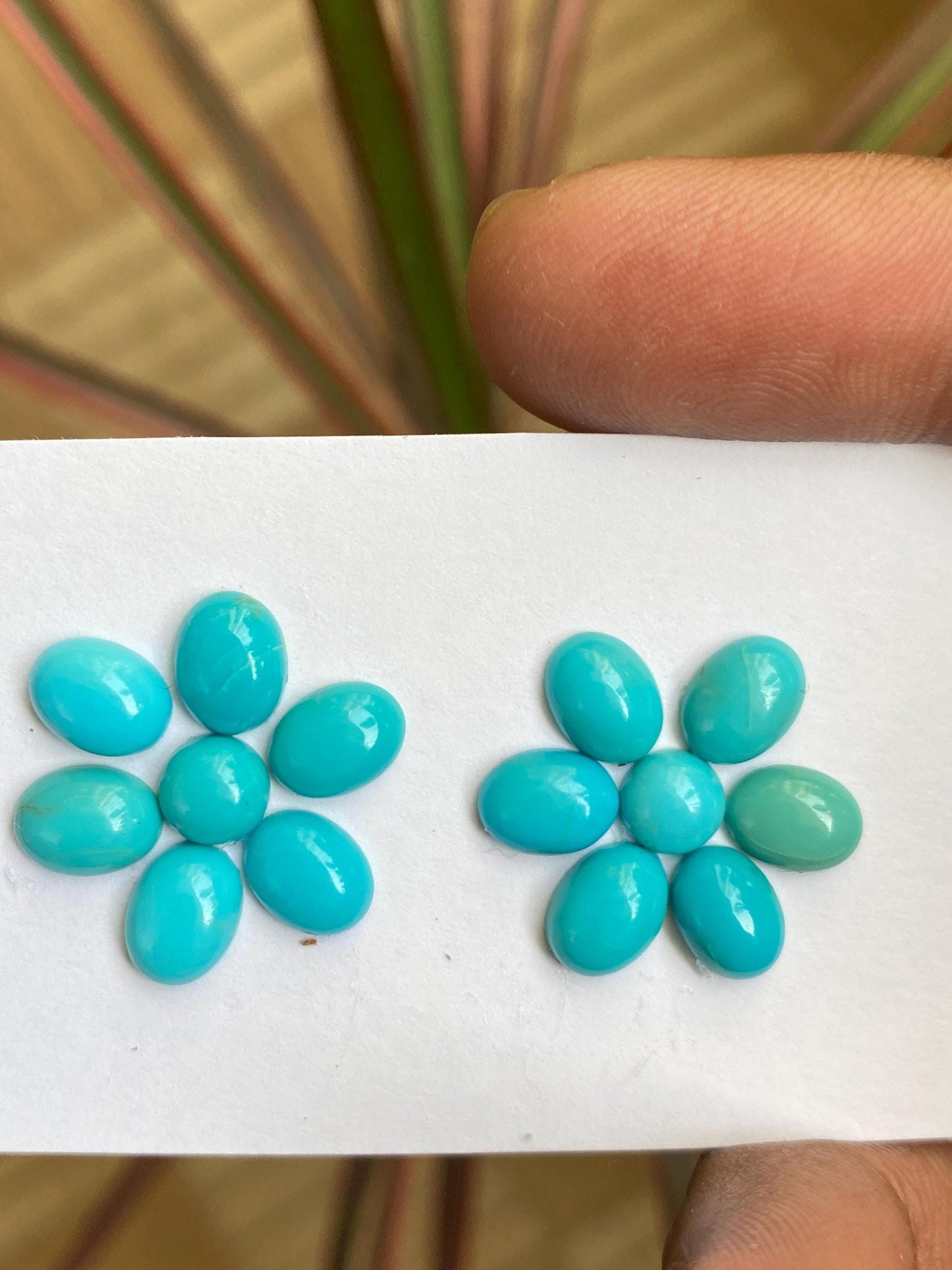 Rare Arizona mines Turquoise oval cabochons earrings supply natural smooth polished pcs 14 wt 14 carats 6.5mm-7x5mm  turquoise cabochons