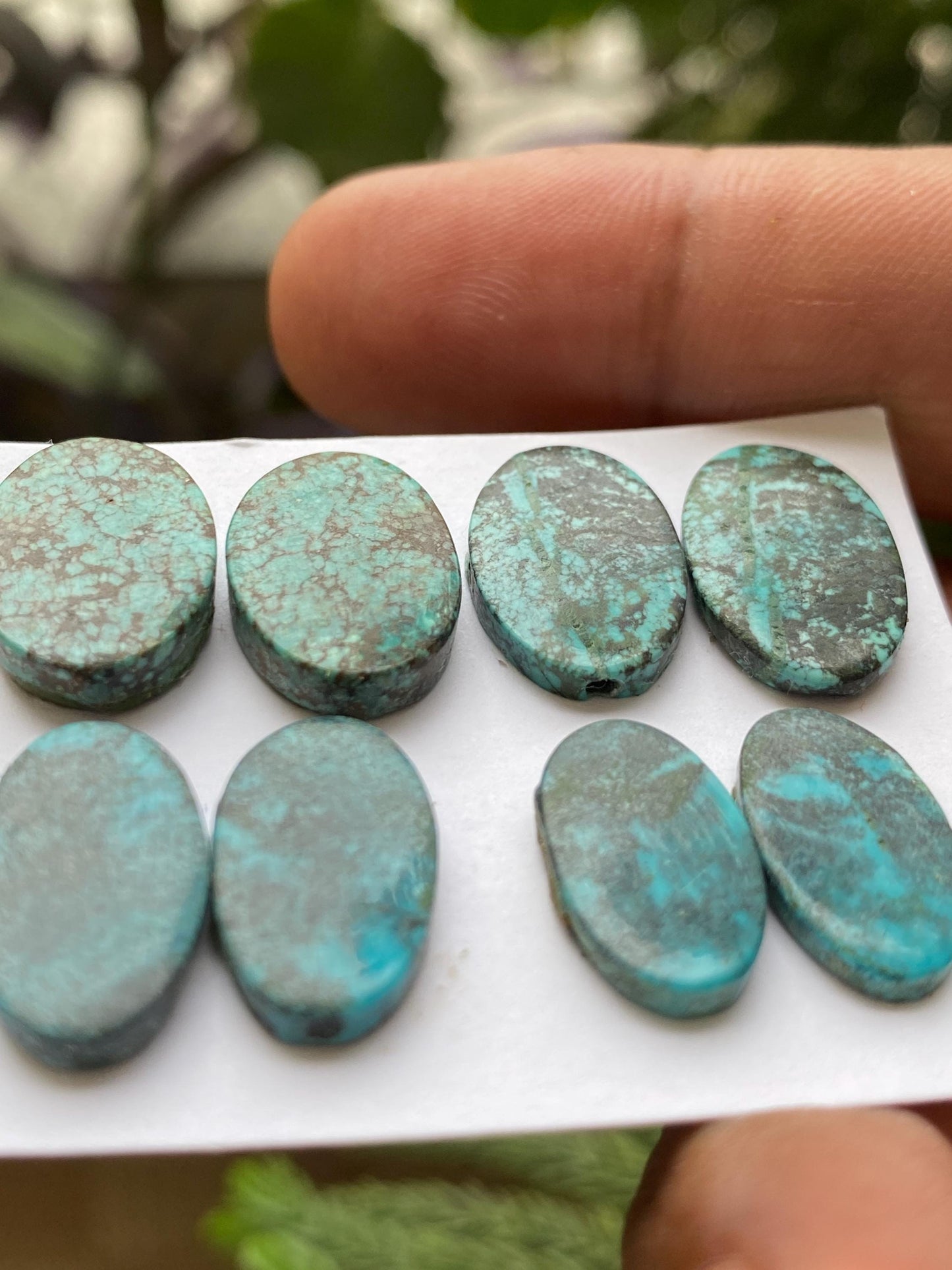 Amazing Turquoise pair natural hubei mines  pattern smooth turquoise pcs 8 wt 37.20 carats good size turquoise earrings supply