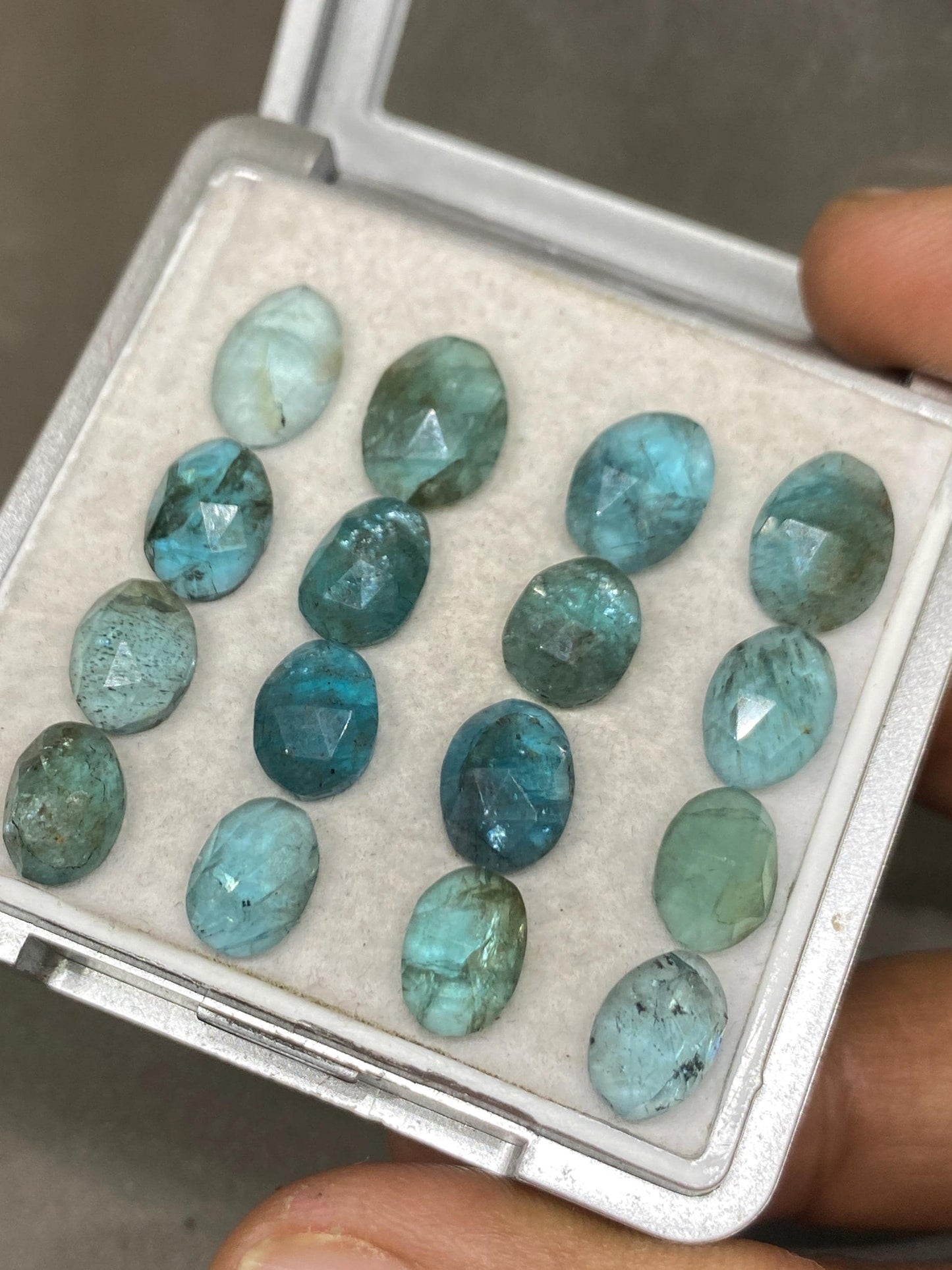 Gorgeous Blue green apatite rosecut wholesale lot weight 31 cts pcs 12 rosecut blue apatite flats size 8.5x6-10x8mm apatite rosecut