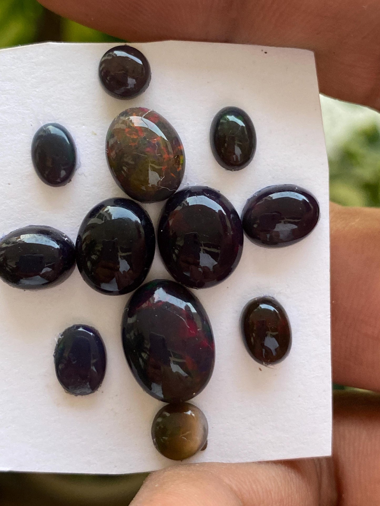 Fabulous Black opal (smoked)Natural Fire opal cabochons lot size wt 19.5 cts size 6x6-14x6mm pcs 12 opal cabochon fire black opals cabochons