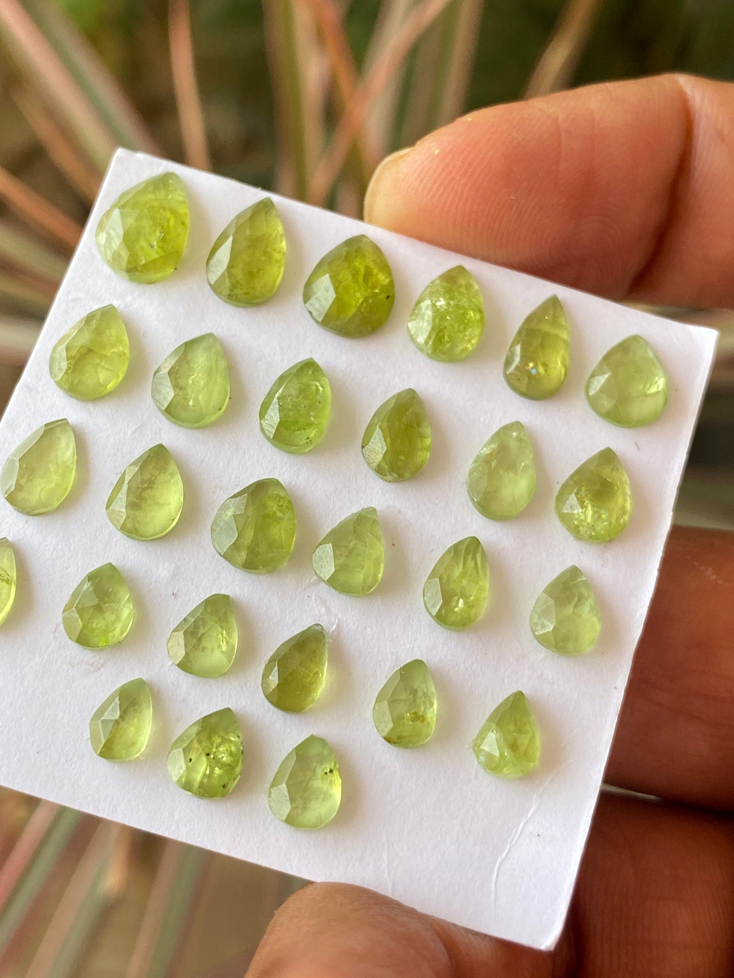 Nice rare peridot rosecuts pear shape wholesale lot weight 26 carats size 6x5mm-10x7mm pieces 27 peridot cabochons