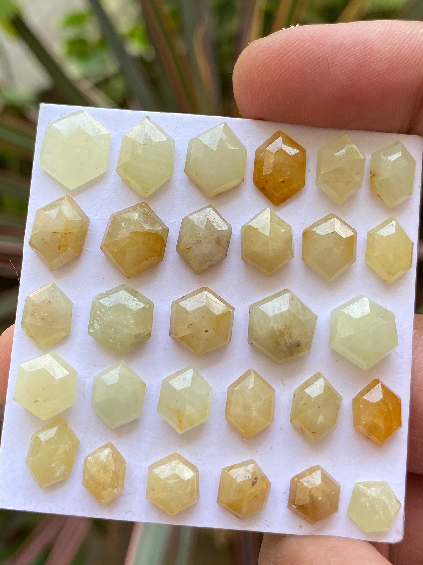 Scintillating Rare light Yellow sapphire hexagon step cuts wt 84 cts  pcs 29 size 6.9x6.6mm-11.7x9.7mm sapphire stepcut hexagon flatbacks