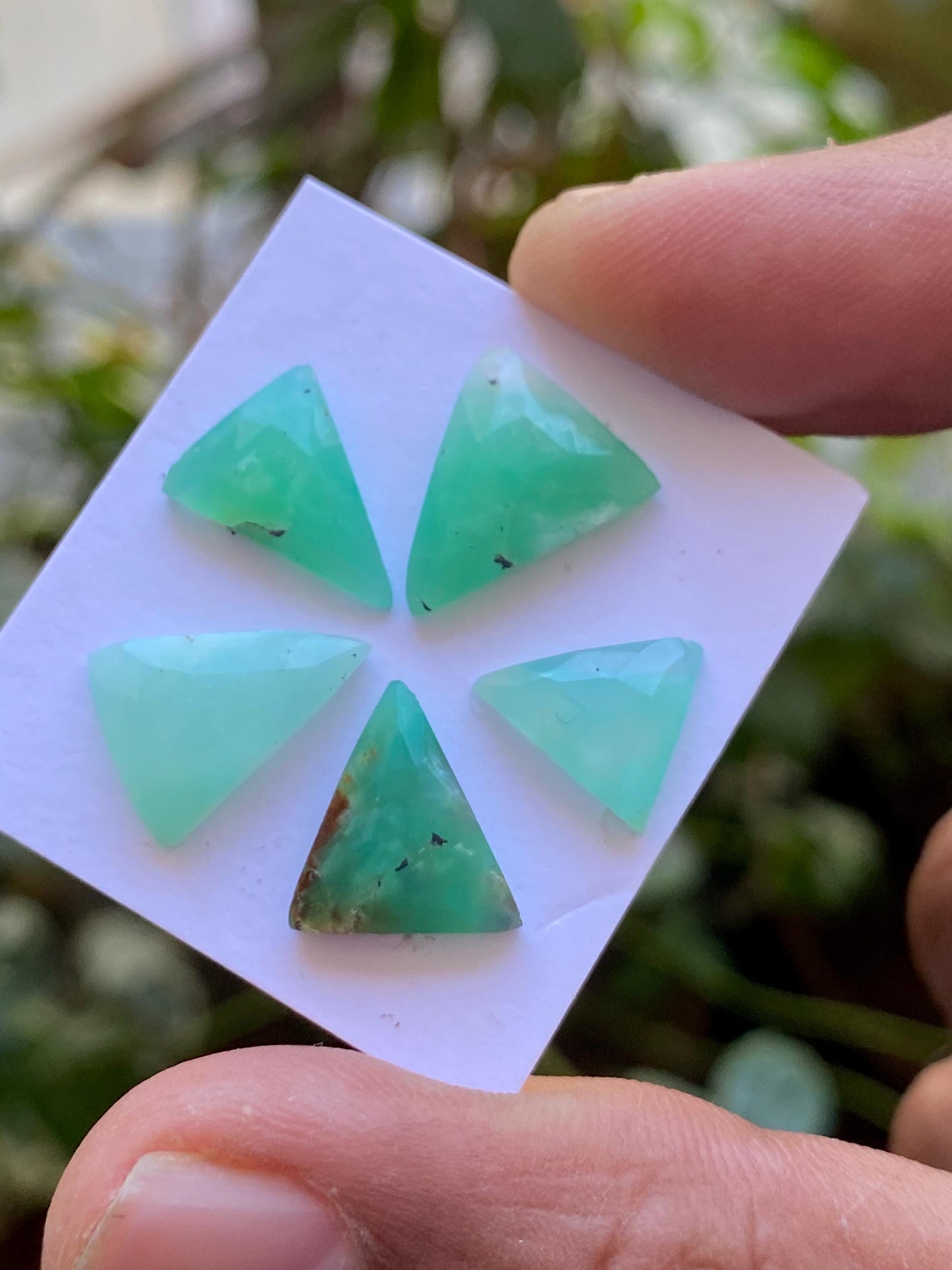 Scintillating Chrysoprase rosecut trillion fancy wholesale lot fine quality wt 15.50 carats pcs 5 size 11x9-14x11mm chrysoprase rosecut