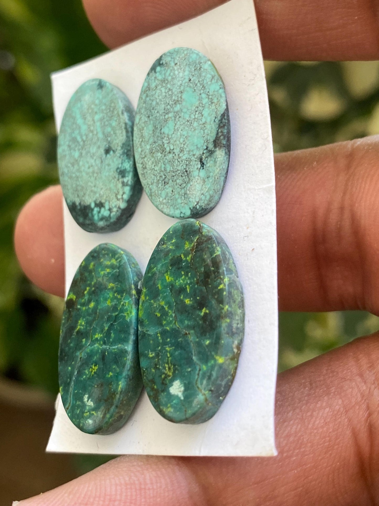 Mesmerising Turquoise cabochon pairs natural hubei mines smooth cloud mountain pcs 4 wt 38 cts big 20x14-23x13mm turquoise earrings supply