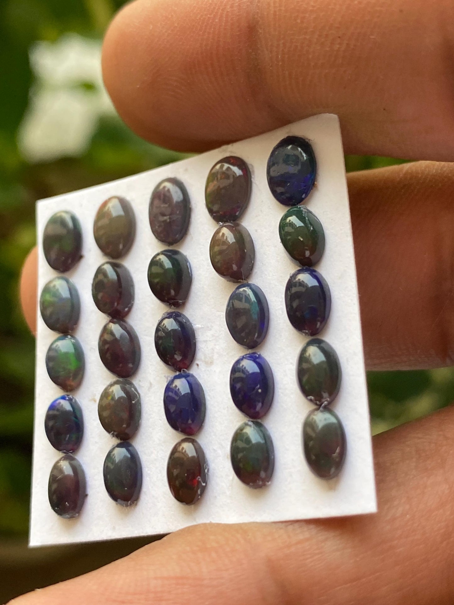 Stunning Black opal (smoked) Natural Fire opal cabochons lot size wt 8.5 cts size 6x4-7x5mm pcs 20 opal cabochon fire black opals cabochons