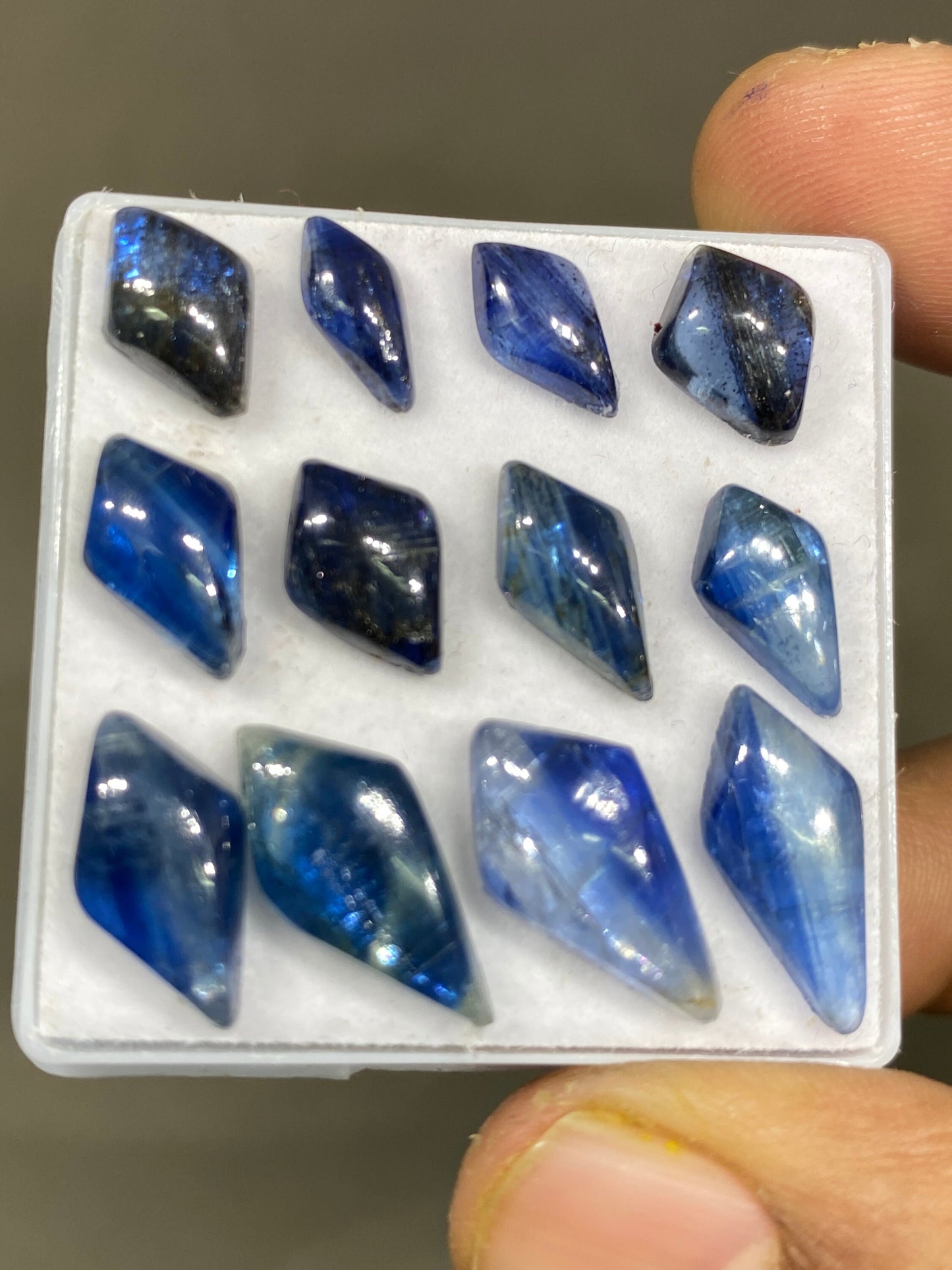 Stunning rare blue kyanite geometric kite fine quality wt 36 cts size 10x5.6mm-17.5x8.6mm pcs 12 blue kyanite kite cabochons smooth polished