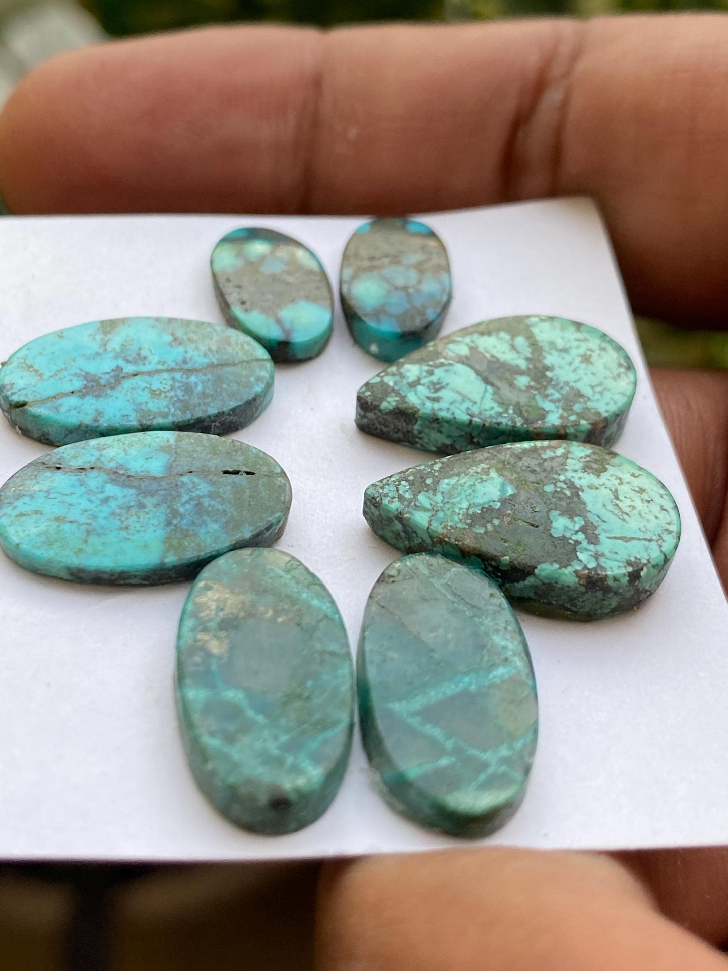 Vivacious Rare Turquoise pair natural hubei mines pattern smooth turquoise pcs 8 wt 47  carats size 16x8-20x12mm turquoise earrings supply