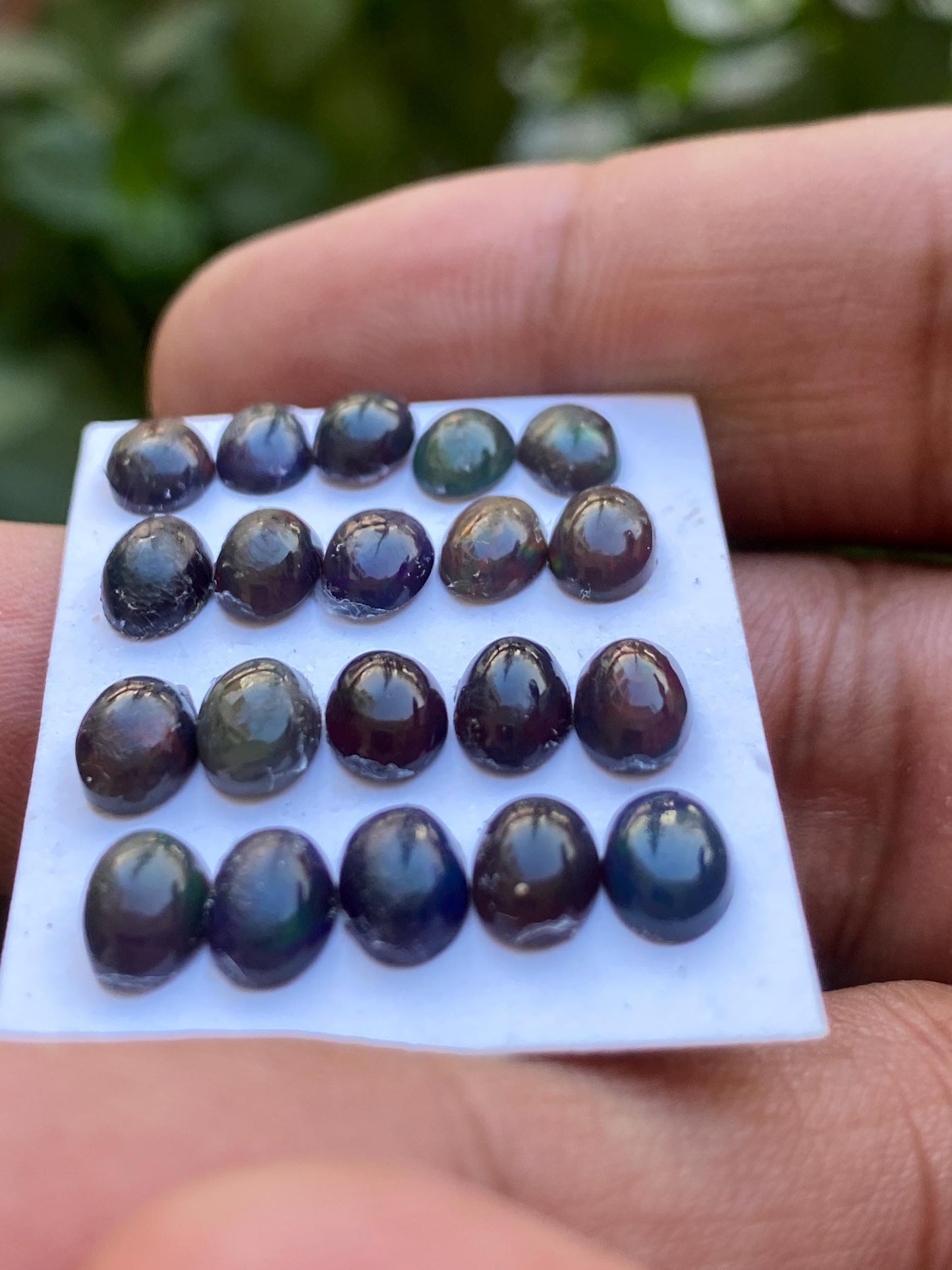 Black opal (smoked) Natural Fire opal cabochons lot size wt 9.80 cts size 7x5mm pcs 20 opal cabochon aaa quality fire black opals cabochons