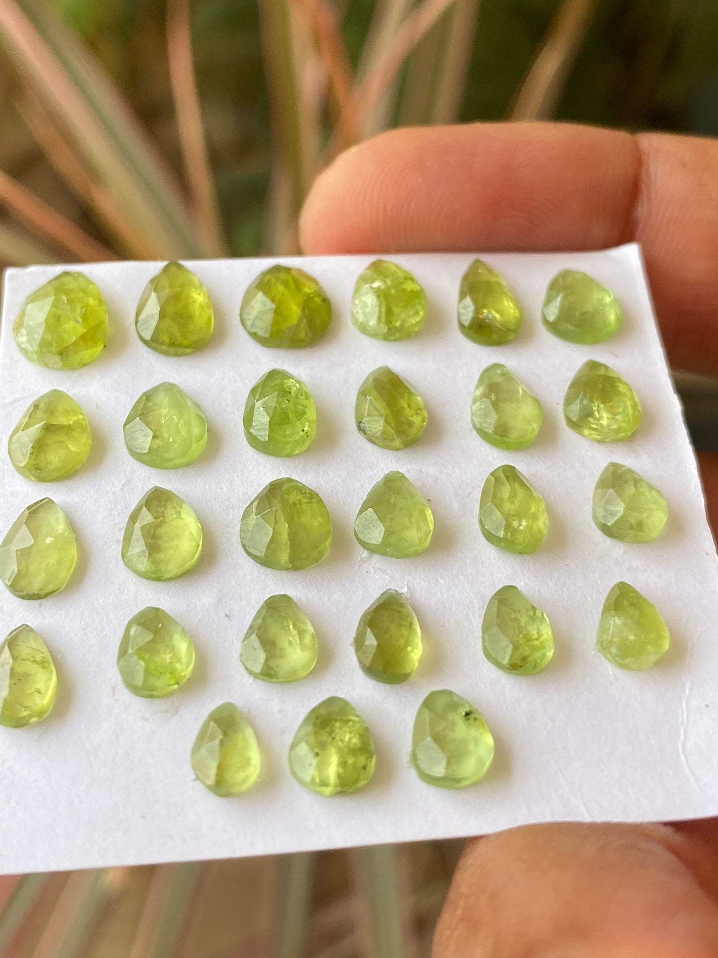 Nice rare peridot rosecuts pear shape wholesale lot weight 26 carats size 6x5mm-10x7mm pieces 27 peridot cabochons