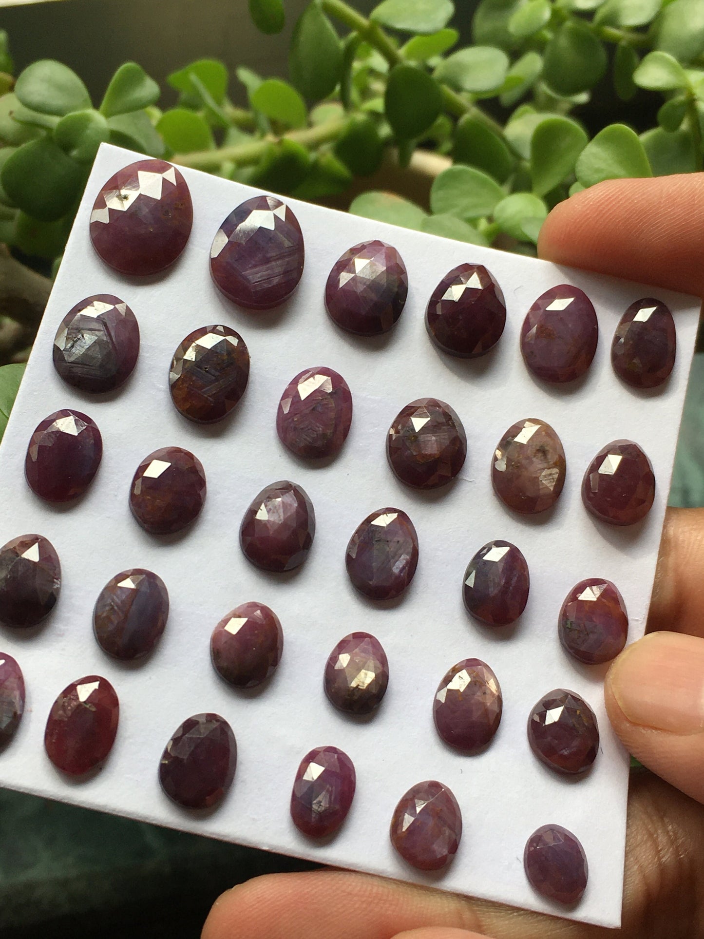 Blingy rare sheen ruby sapphire rosecut fancy ruby wt 104.80 cts  pcs 30 size 6.8x7.9mm-15.6x11.8mm amazing fire sheen ruby rosecut