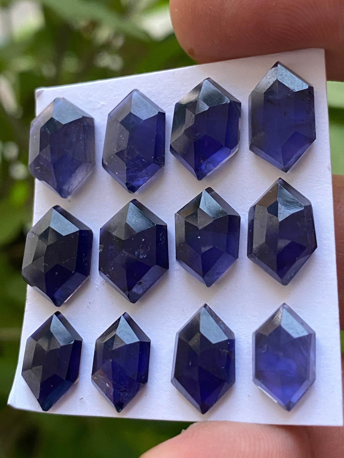 AAA quality Iolite hexagon step cuts weight 39 cts pcs 12 size 12x7.3mm-14.6x9.7mm Iolite stepcut hexagon