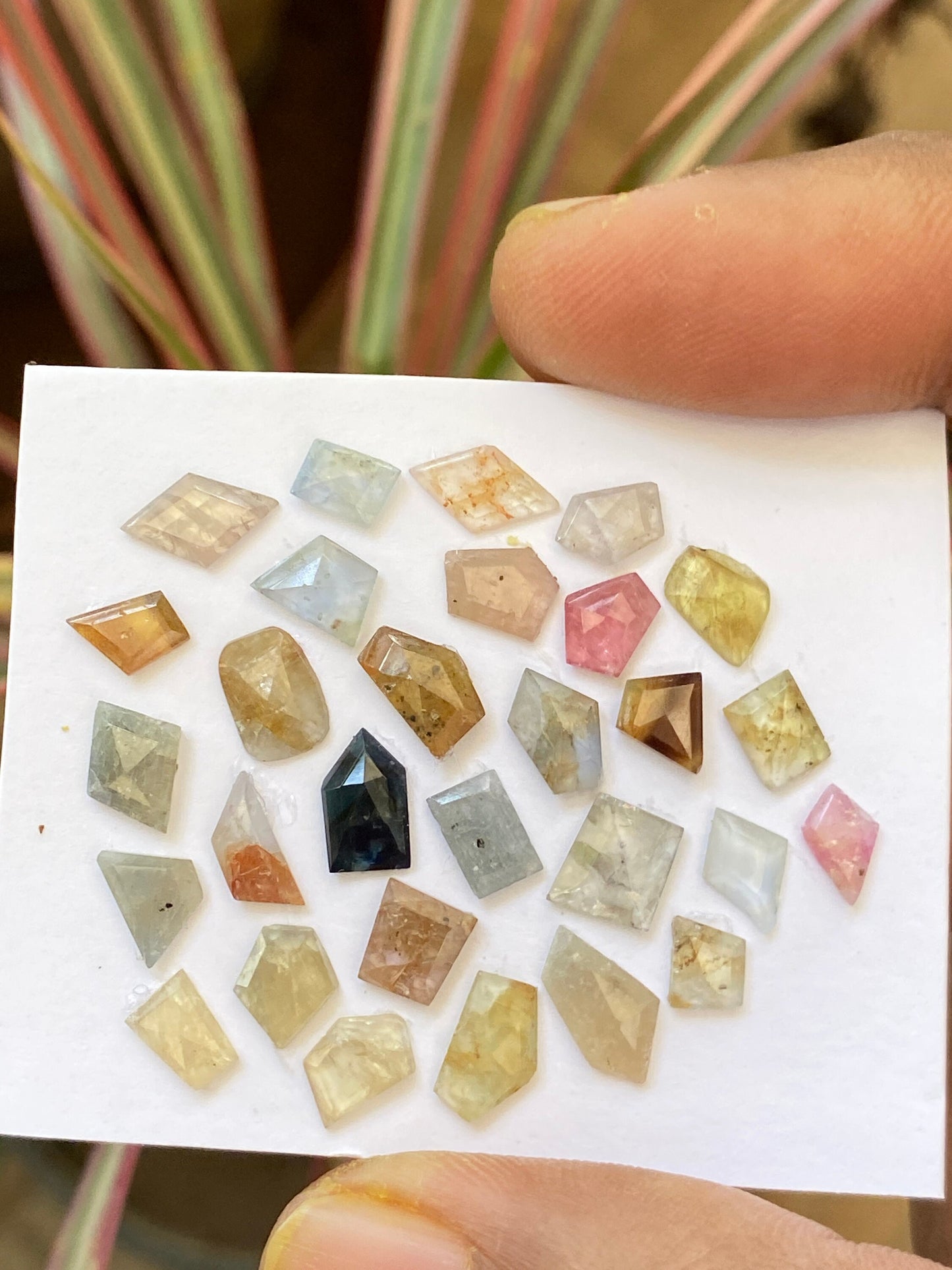 Rare  Umba multi sapphire flats  unheated untreated sapphire geometric pcs 29 wt 17 cts size 5.5x4.5-8.3x5mm sapphire flat cut