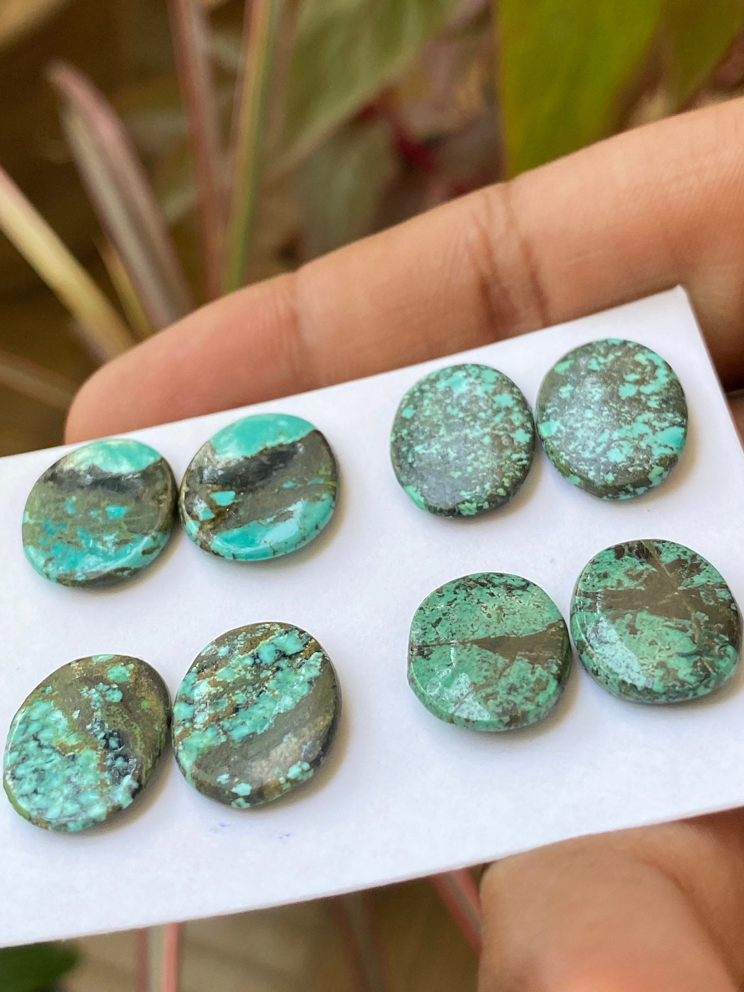 Rare Turquoise pair natural hubei mines rare pattern  smooth turquoise pcs 8 wt 39 carats size 12x14-15x12mm turquoise earrings supply