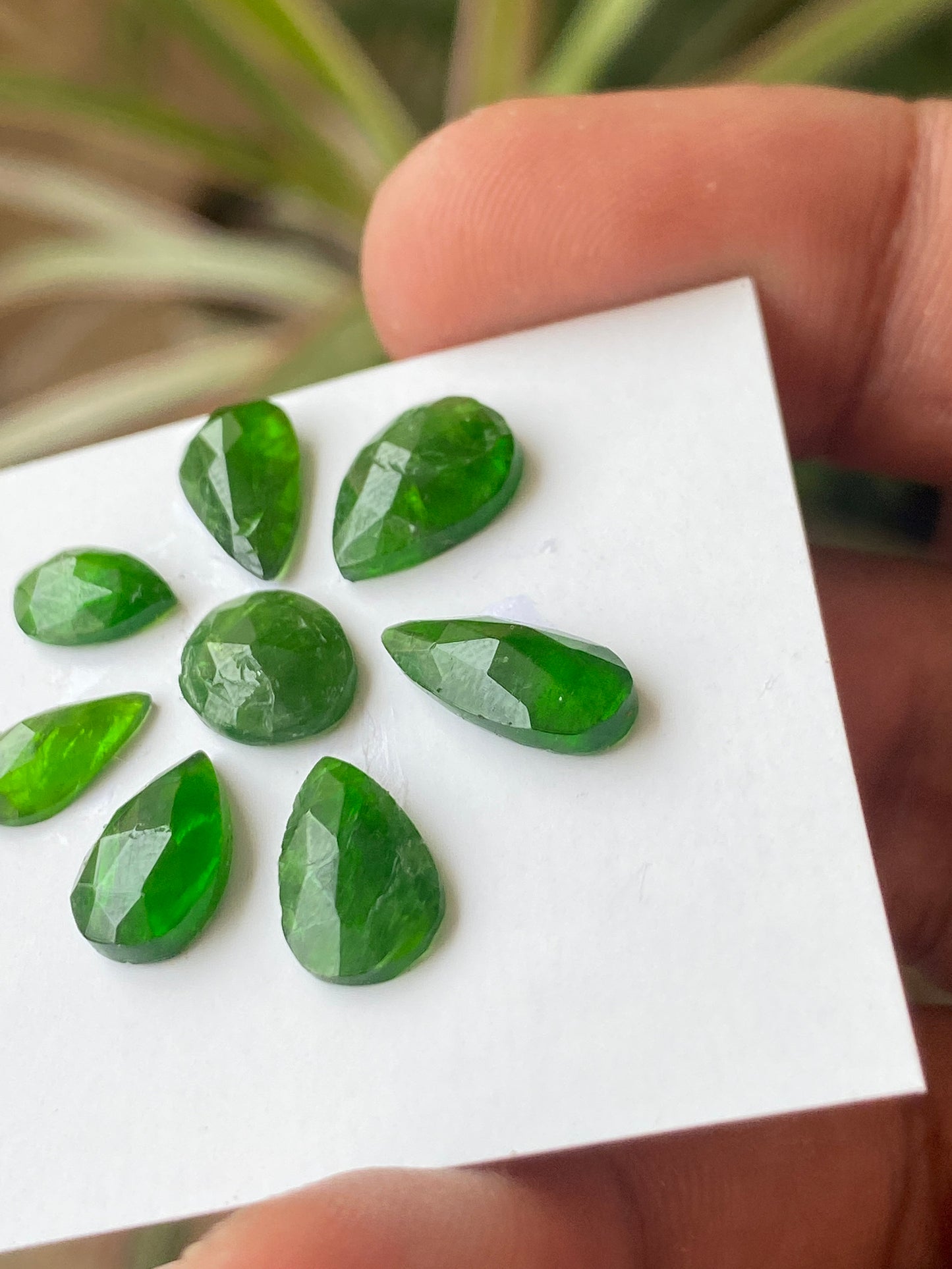 Marvellous Rare chrome diopside rosecut pear  vivid green color weight 16 carats size 6x5mm-13x6mm pcs 8 Chrome diopside rosecut