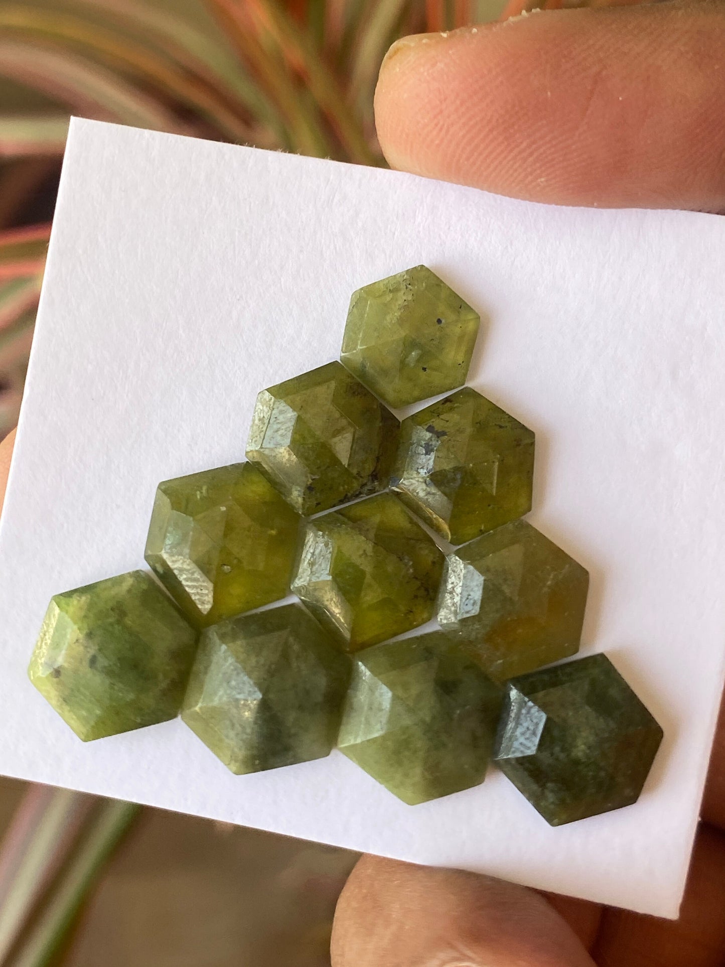 Lovely  vesuvianite hexagon stepcut wholesale lot weight 39 carats pcs 10 size 10mm-12mm flatback gems