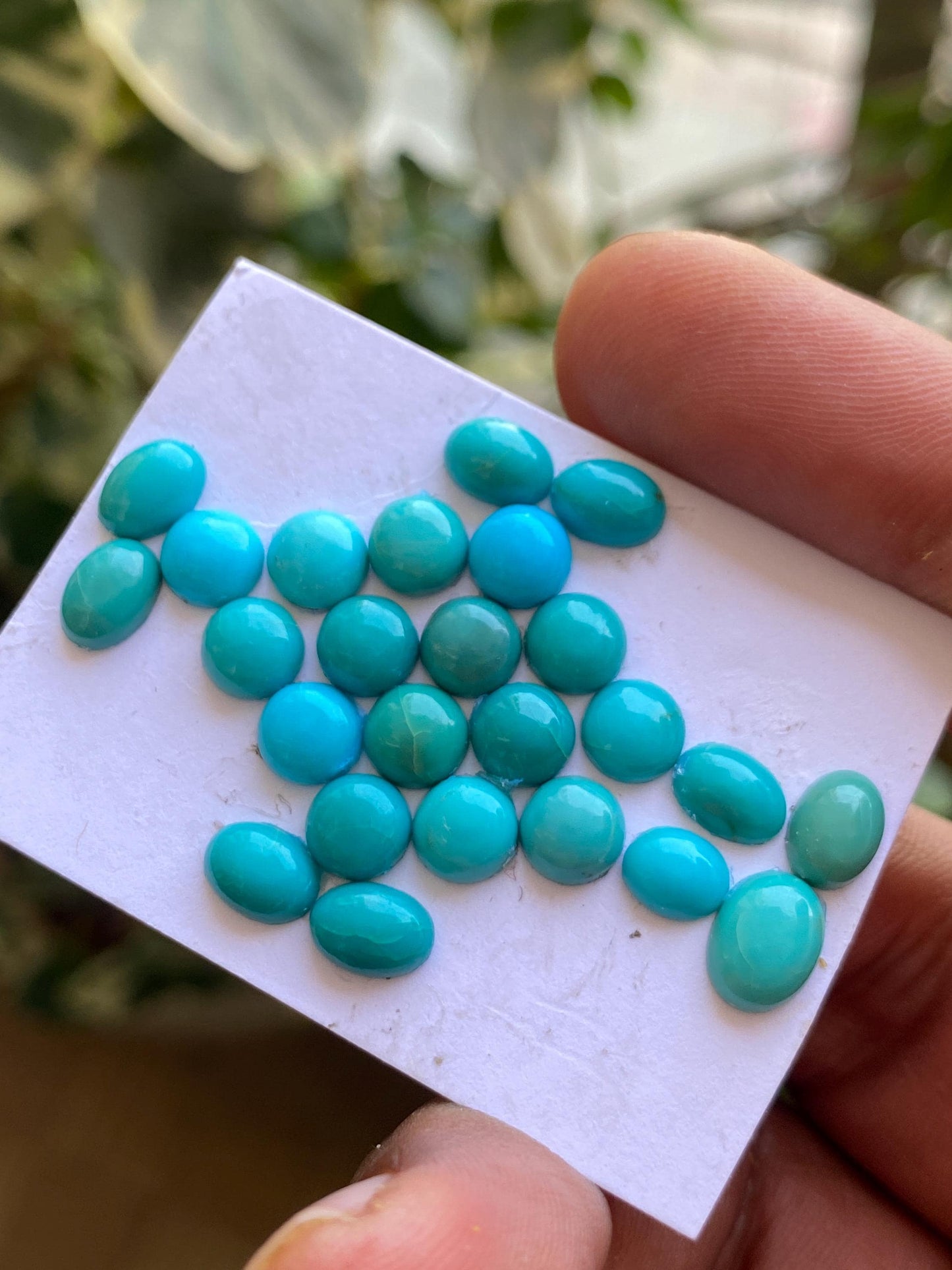 Rare Arizona mines Turquoise oval cabochons  natural smooth pcs 25 wt 19.10 cts 6.3x5.1mm-8.3x6.2mm sleeping beauty turquoise cabochons