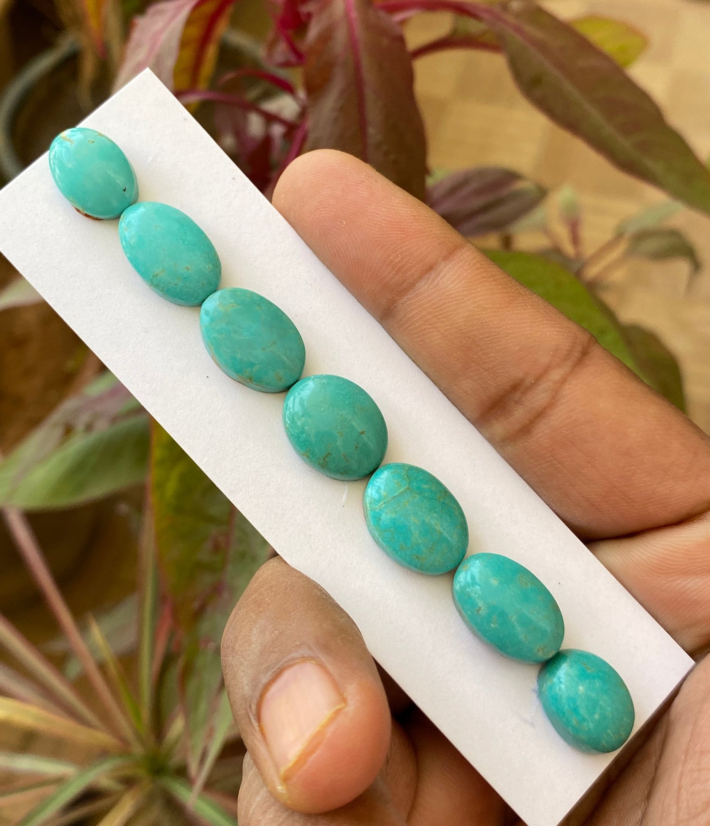 Attractive rare Turquoise cabochons bracelet natural Arizona mines smooth  ovals pcs 7 wt 53 carats 13x10-16.5x11mm turquoise cabochon