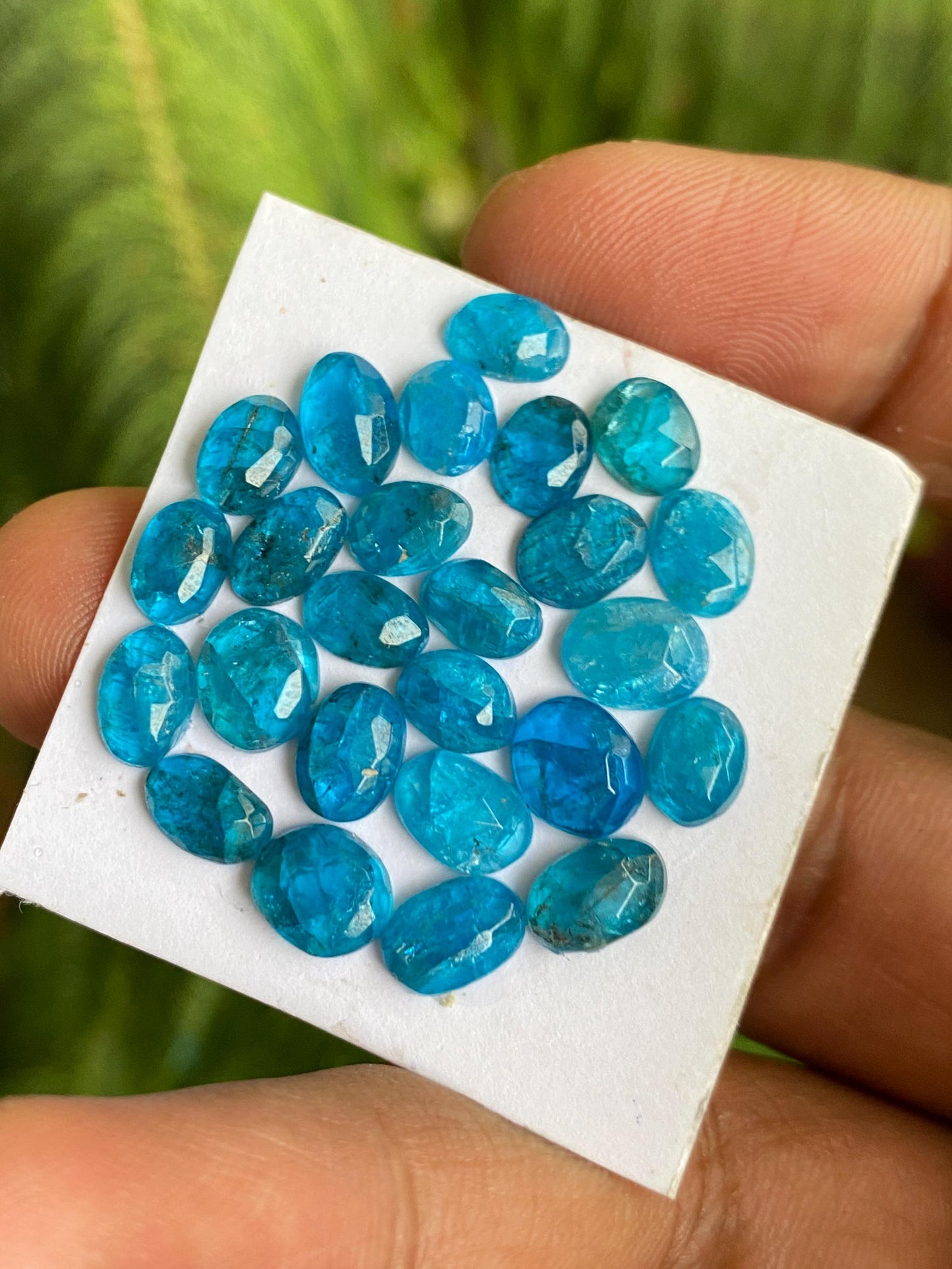 Fabulous Blue green apatite rosecut lot weight 25.5 carats pcs 25 rosecut blue apatite flats Small size 6.9x5.5mm-8x6mm apatite rosecut