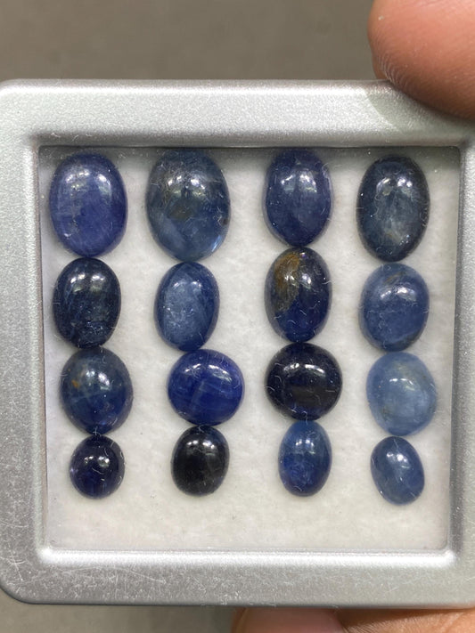 Delightful Burma mines blue sapphire oval cabochon pcs 16 weight 47.90 cts size 7x6-11.8x9.2mm unheated untreated natural sapphire oval